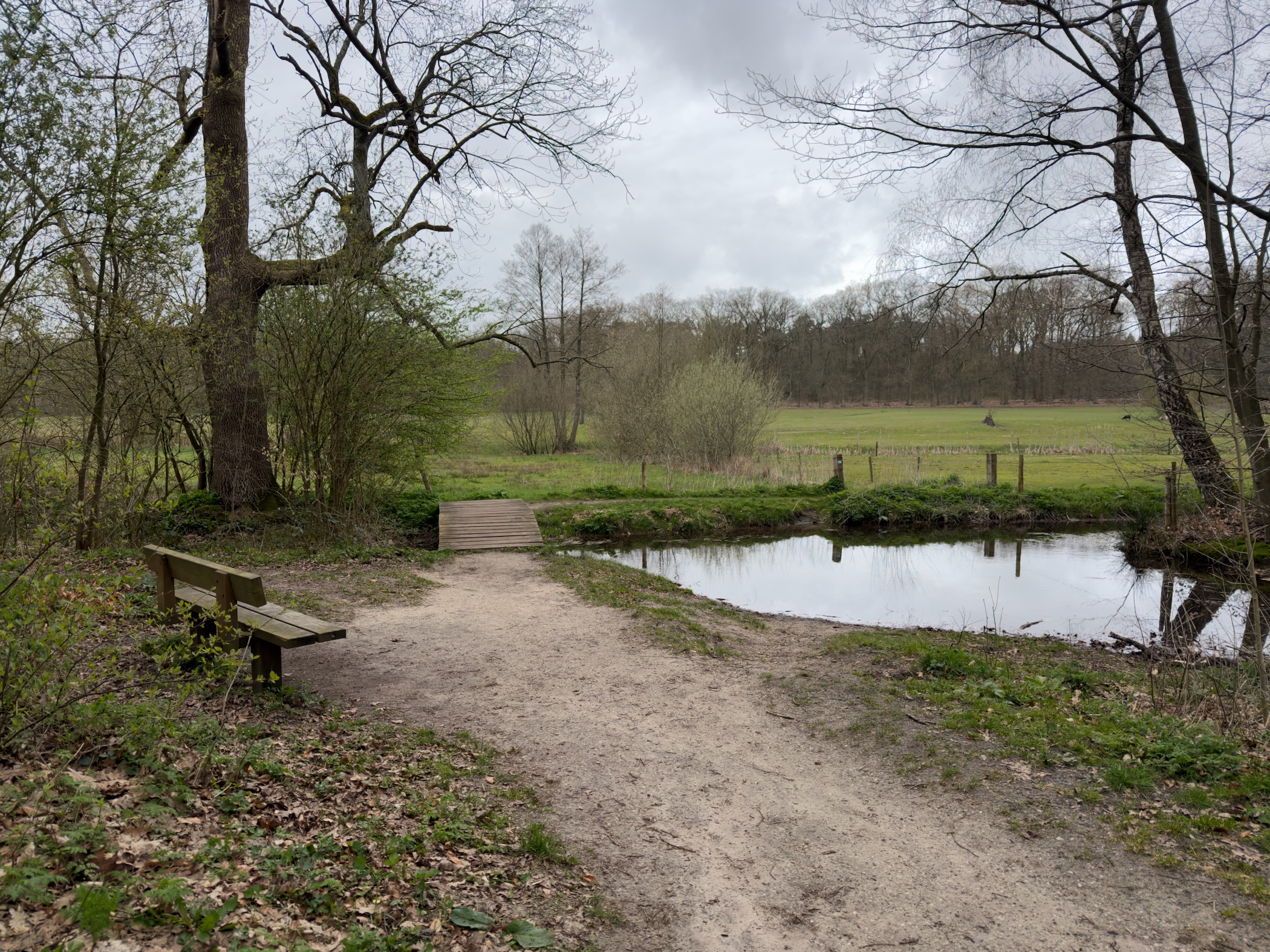 Bench and footbridge beside a pond with green meadows beyond