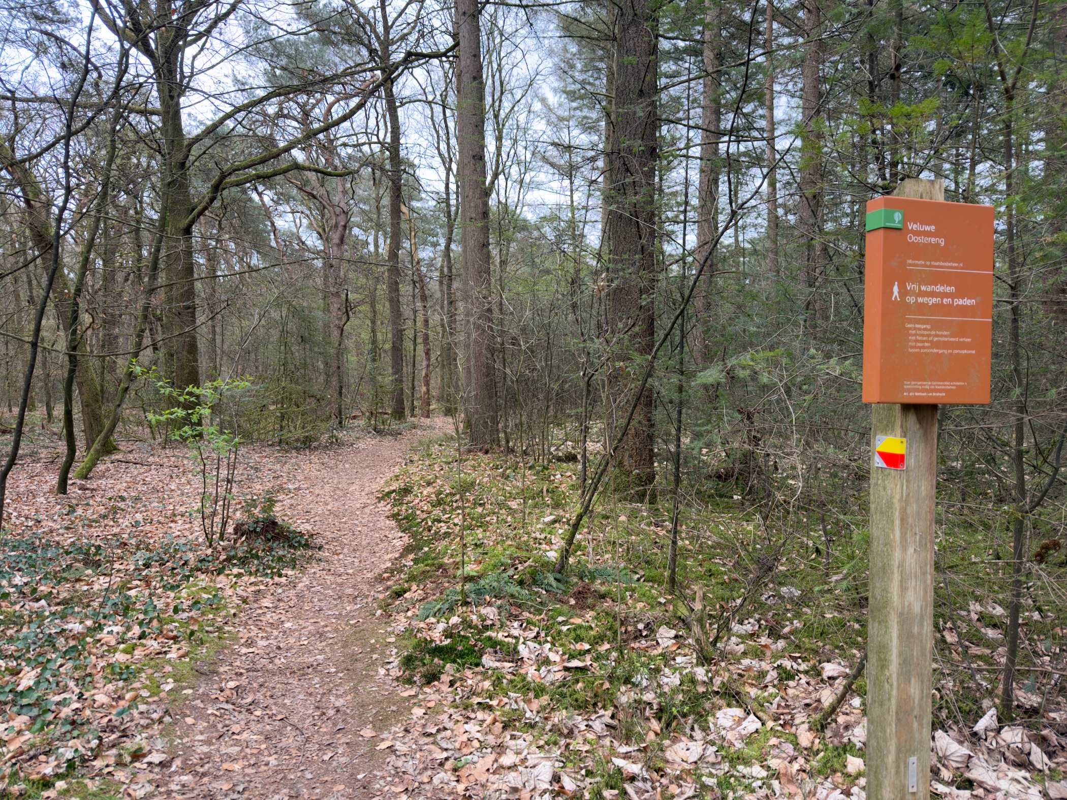Trail information sign with waymarks in a mixed forest