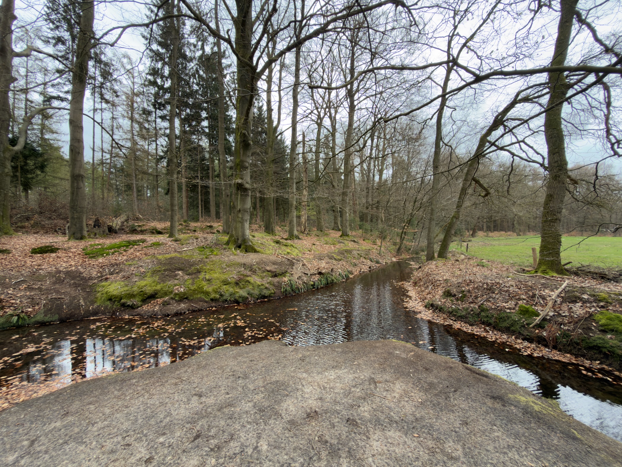 Stream flowing through woodland viewed from a stone bridge