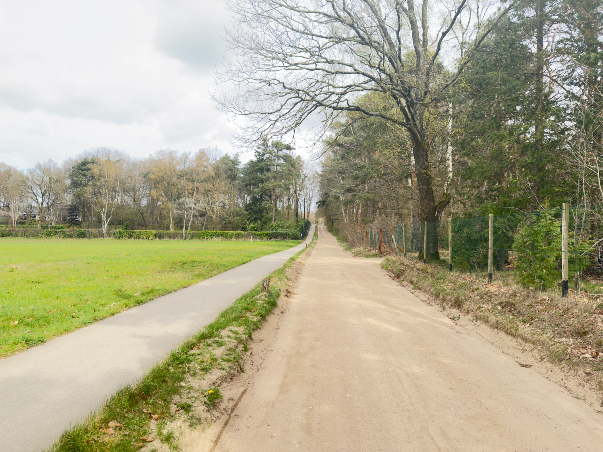 Straight rural lane alongside meadows and woodland