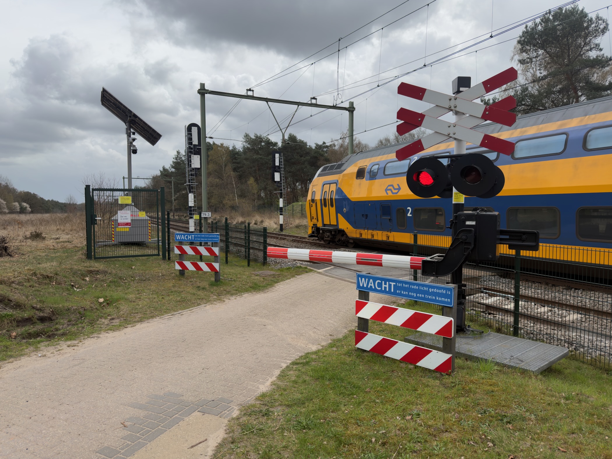 Dutch NS intercity train passing a level crossing with barriers down