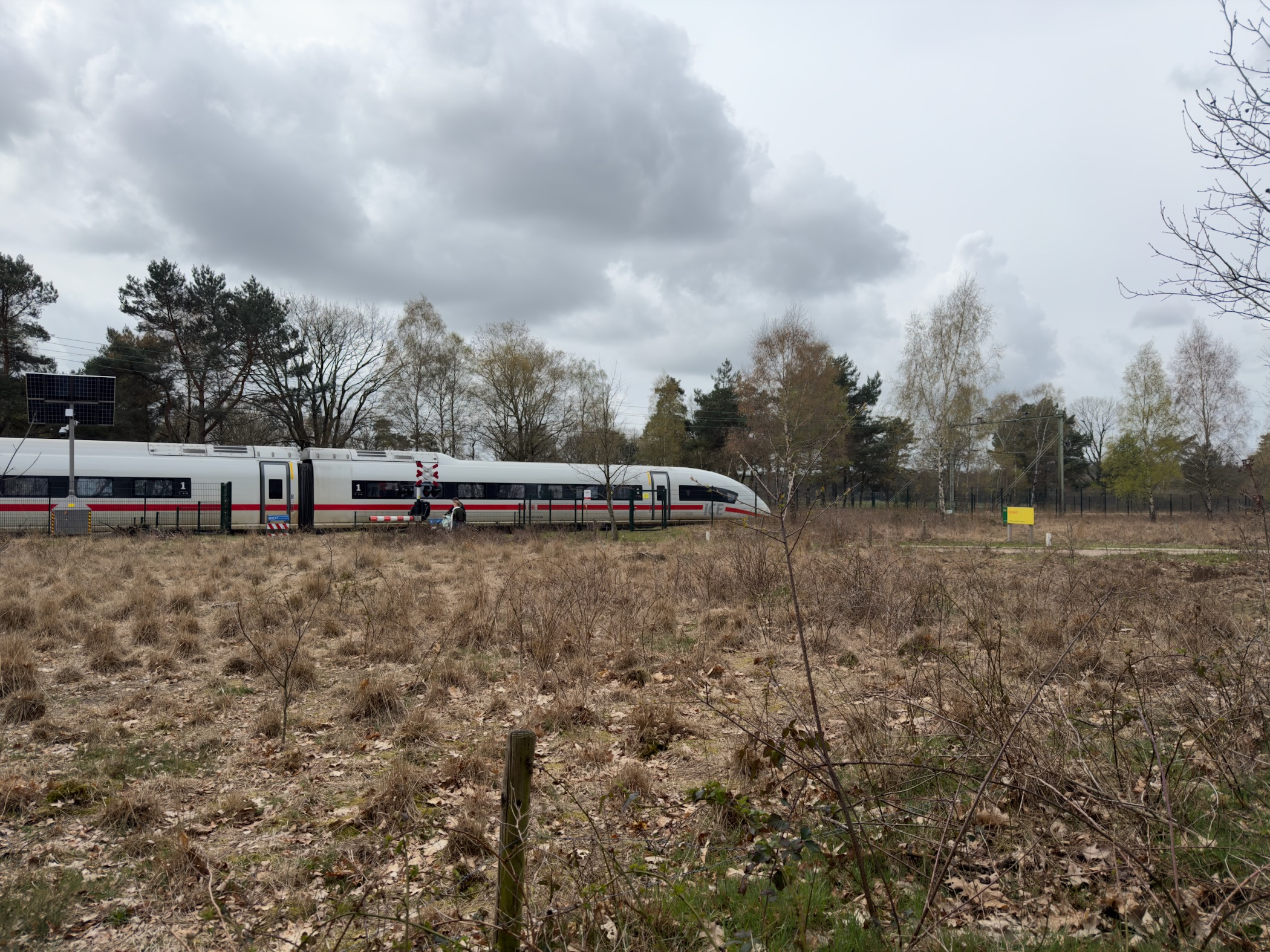 German ICE train crossing heathland near a level crossing