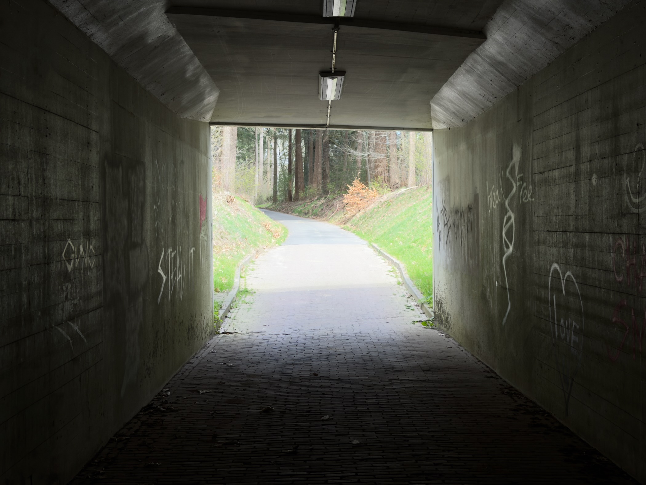 Inside a concrete underpass with graffiti leading to a wooded path