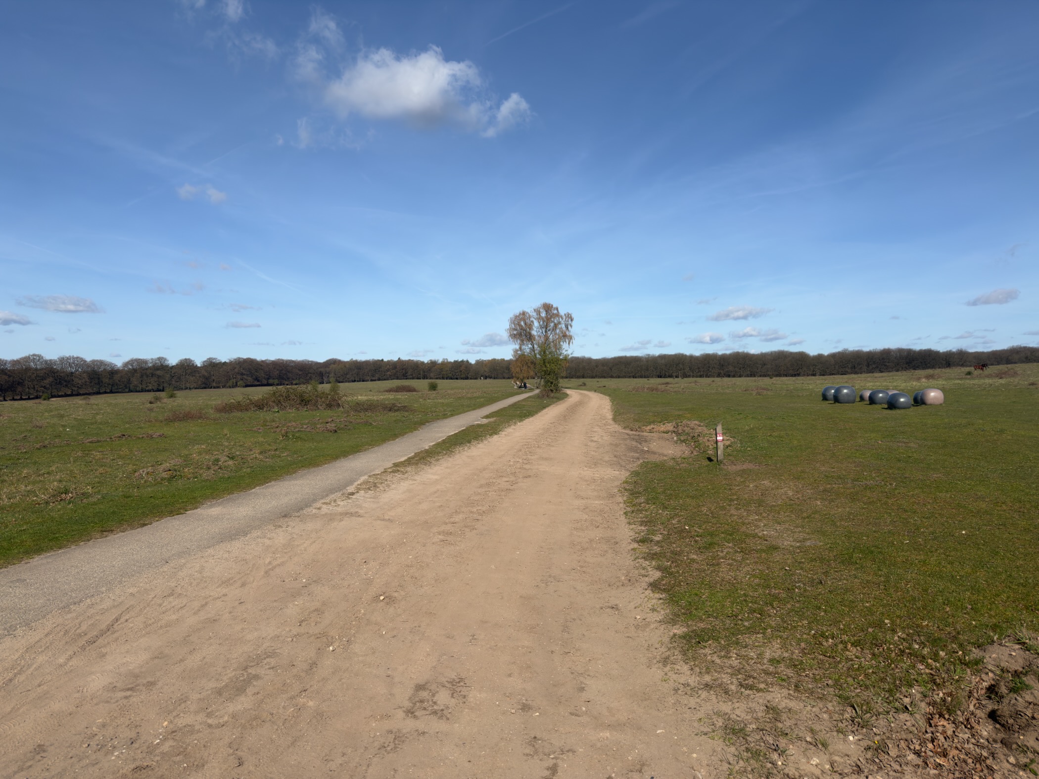 Sandy track through open grassland with hay bales and a solitary tree