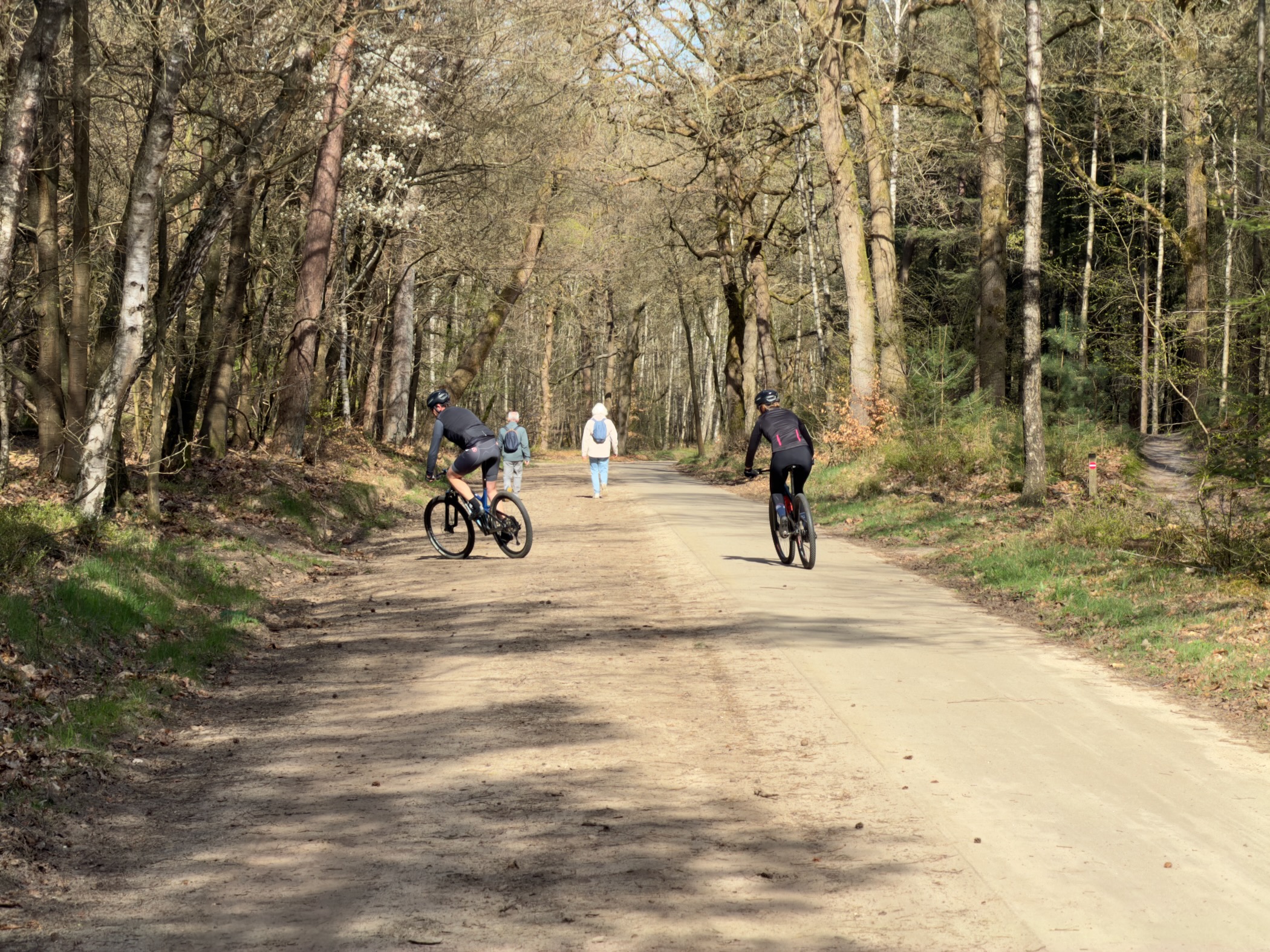Cyclists and a walker on a broad forest lane through mixed woodland