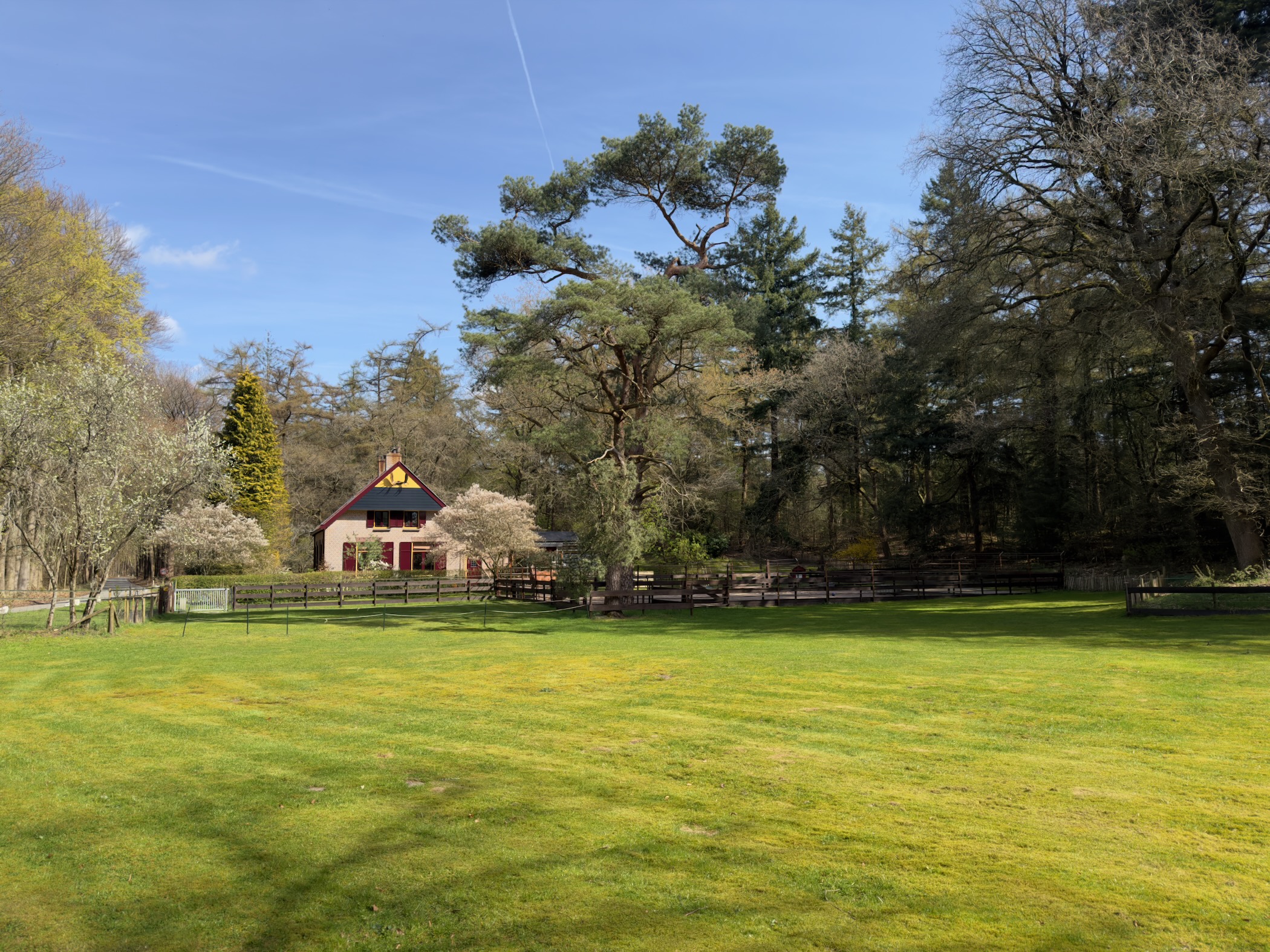 Charming house with blossoming cherry trees on a green lawn in the forest