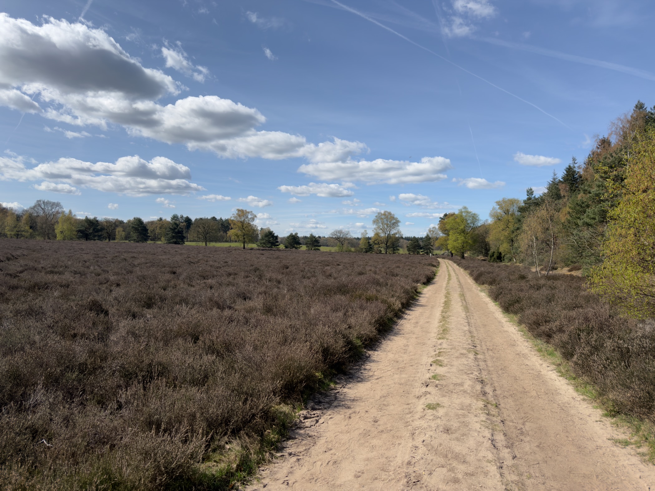 Straight sandy trail across expansive heathland under a cloudy blue sky