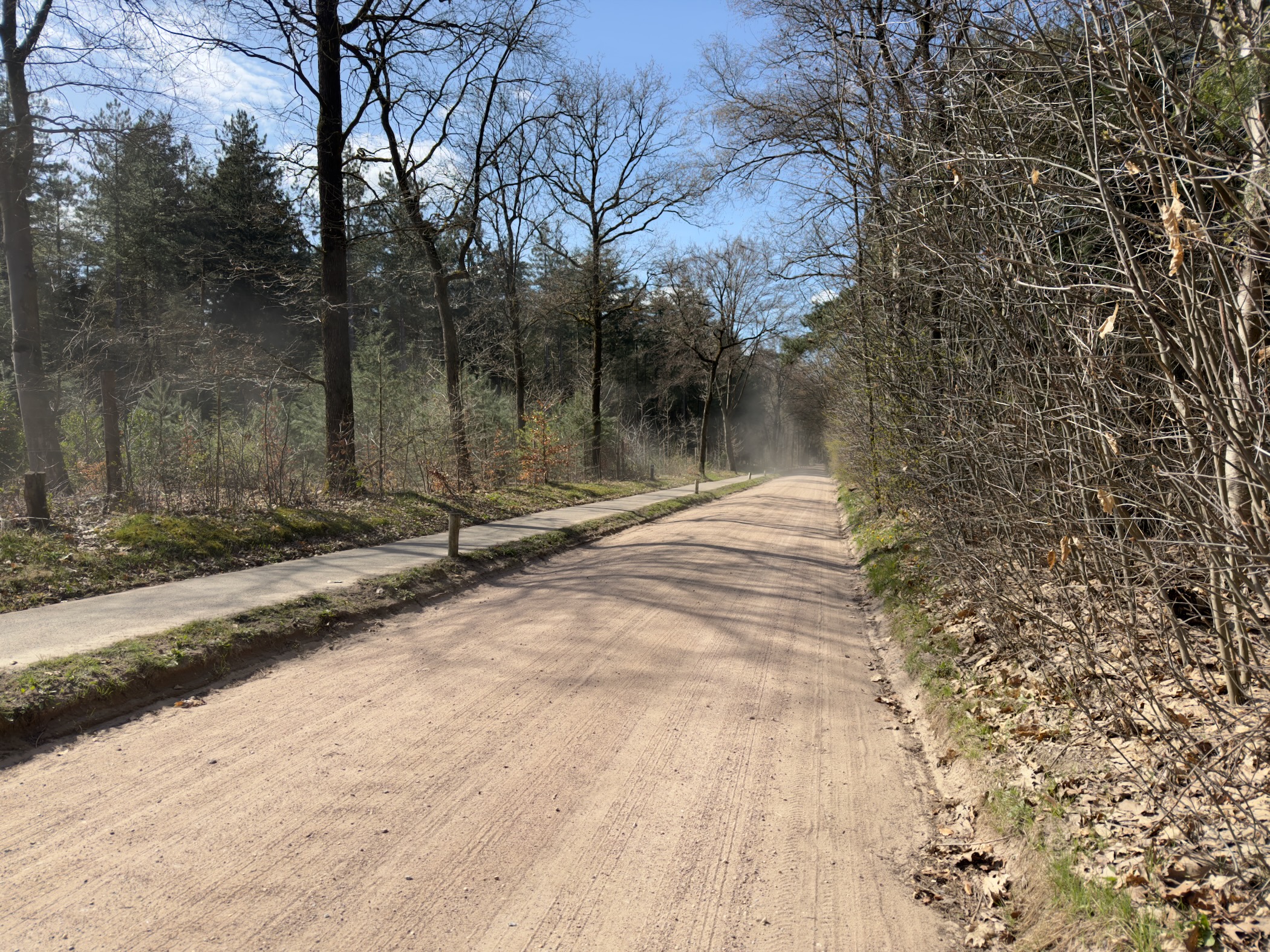 Dusty unpaved road through woodland with haze in the sunlight