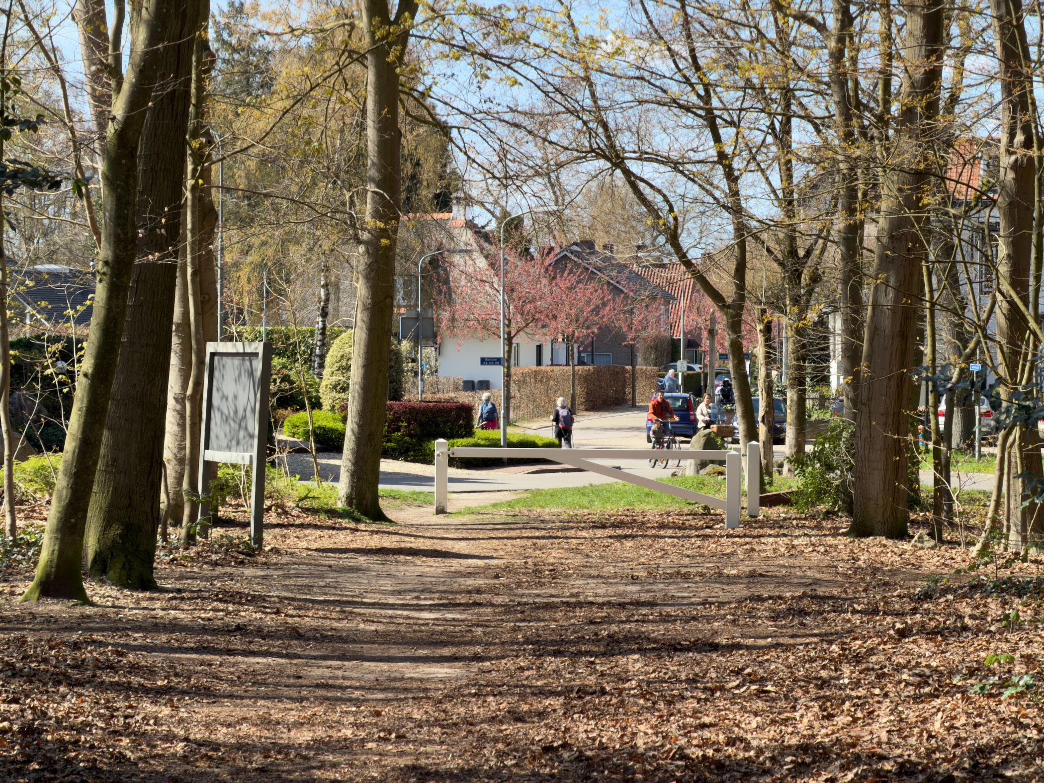Trail emerging from woodland toward buildings in a village