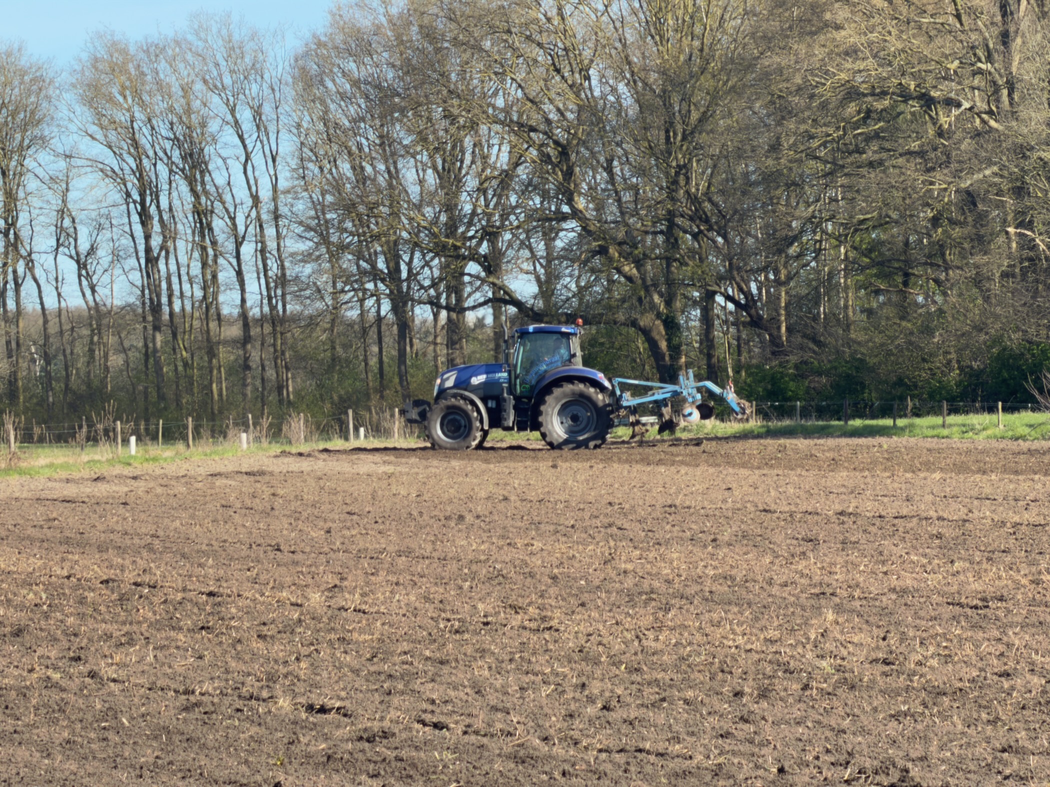 Blue tractor with plough working a freshly turned field at the edge of woodland