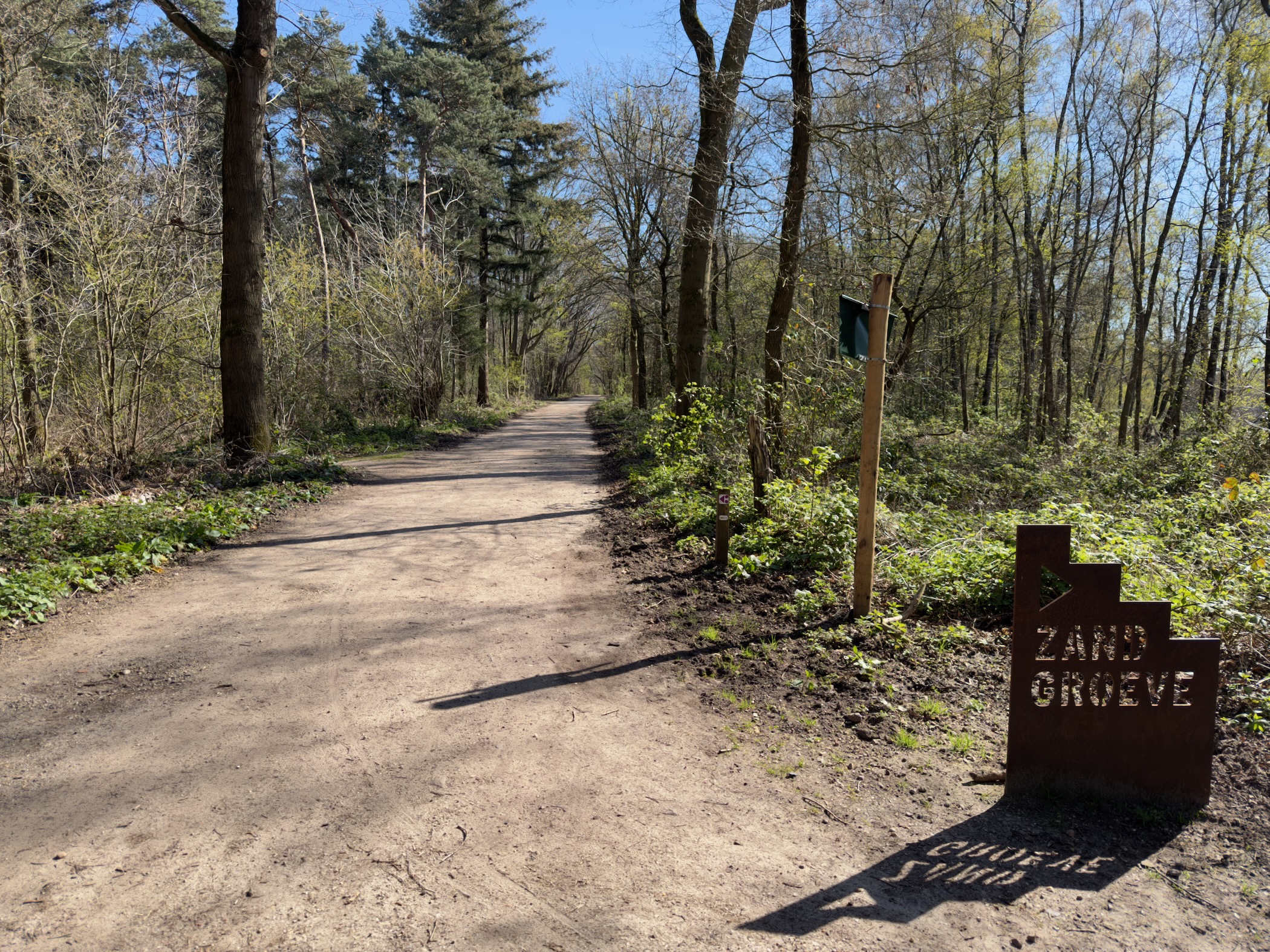 Forest junction with a wooden Zandgroeve sign in early spring