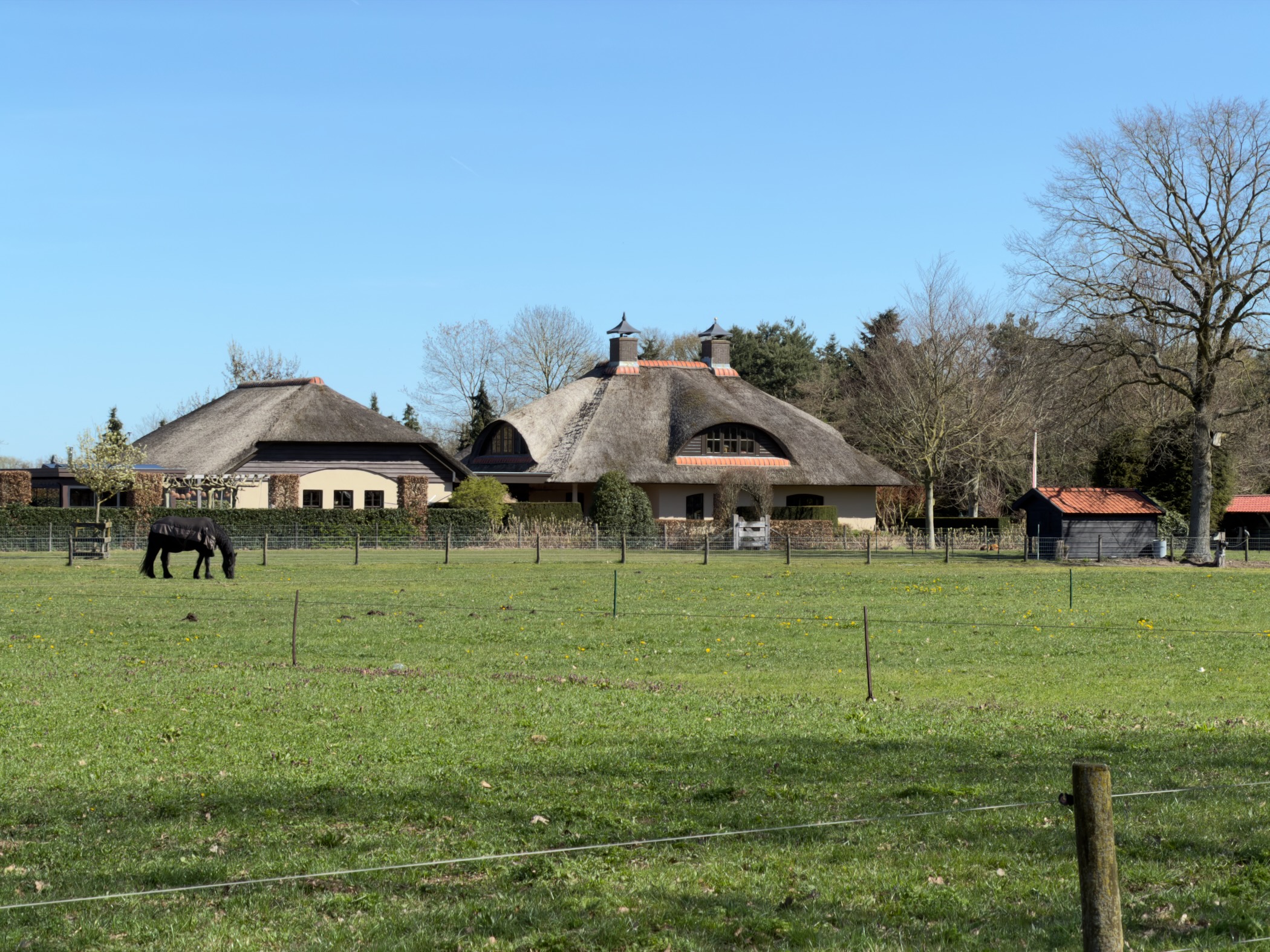 Traditional thatched Dutch farmhouse with a black horse grazing in the paddock