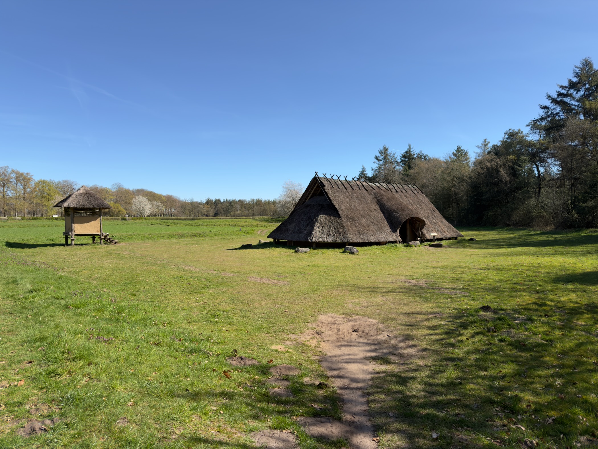 Reconstructed prehistoric thatched longhouse on a grassy clearing