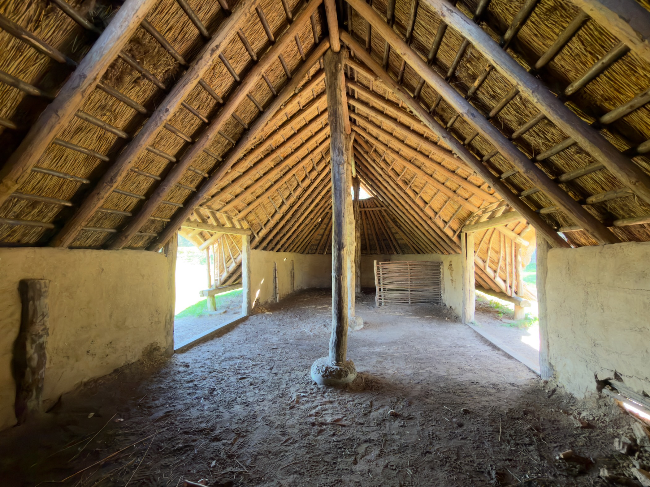 Interior of the reconstructed prehistoric longhouse showing thatched roof timbers