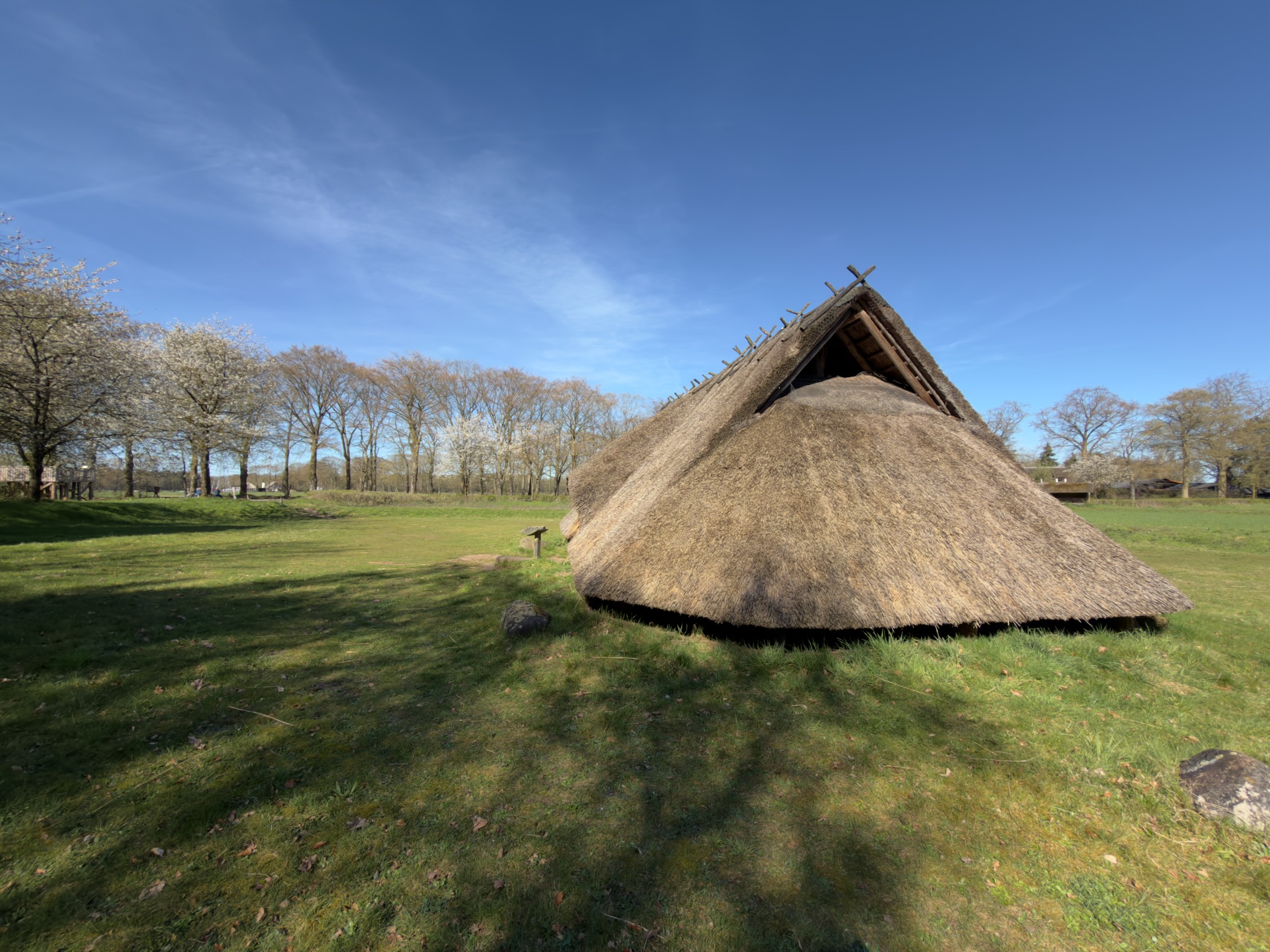 Conical thatched prehistoric hut on a grassy clearing under blue sky
