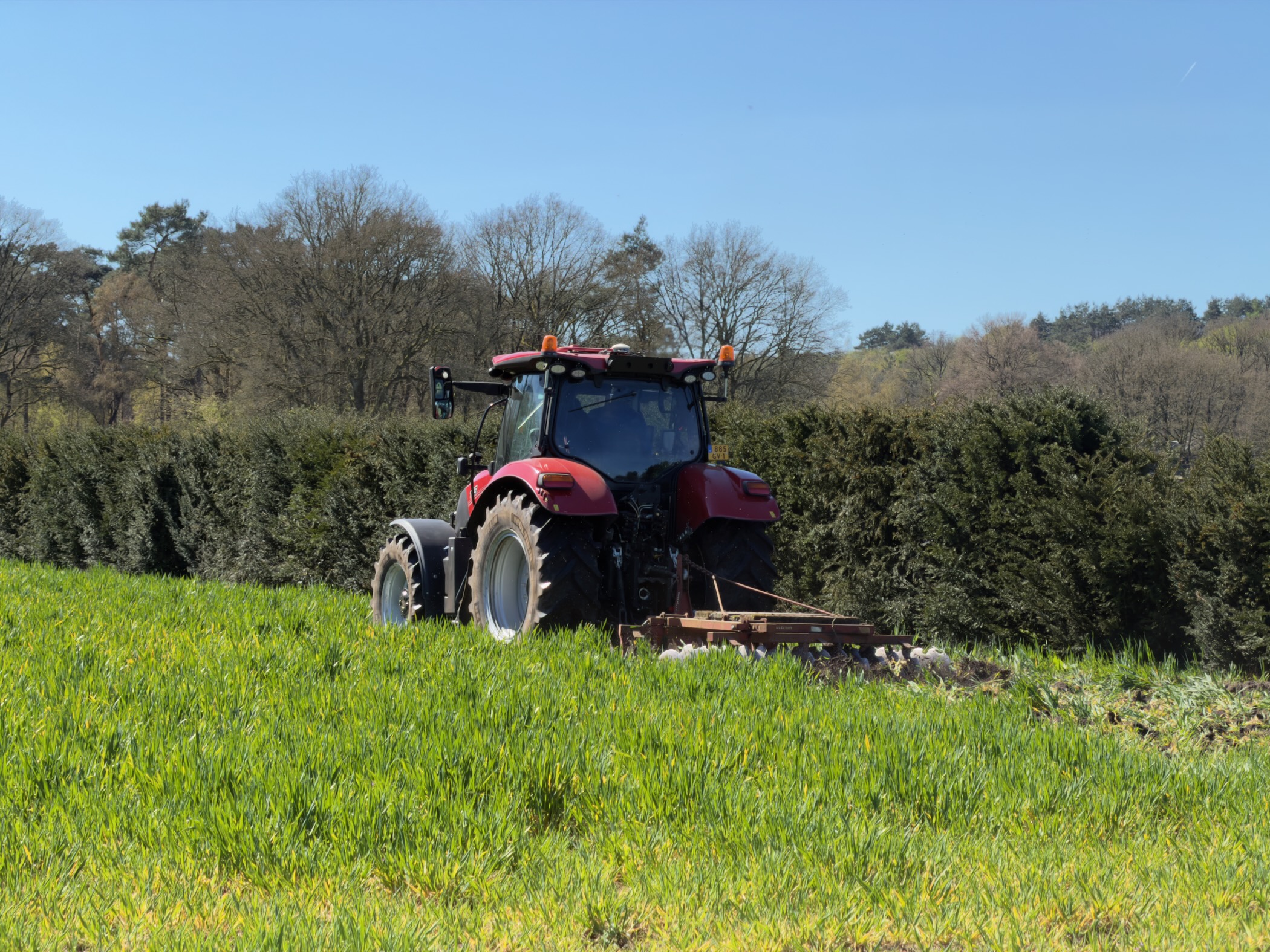 Red tractor with cultivator working a green field beside a hedgerow