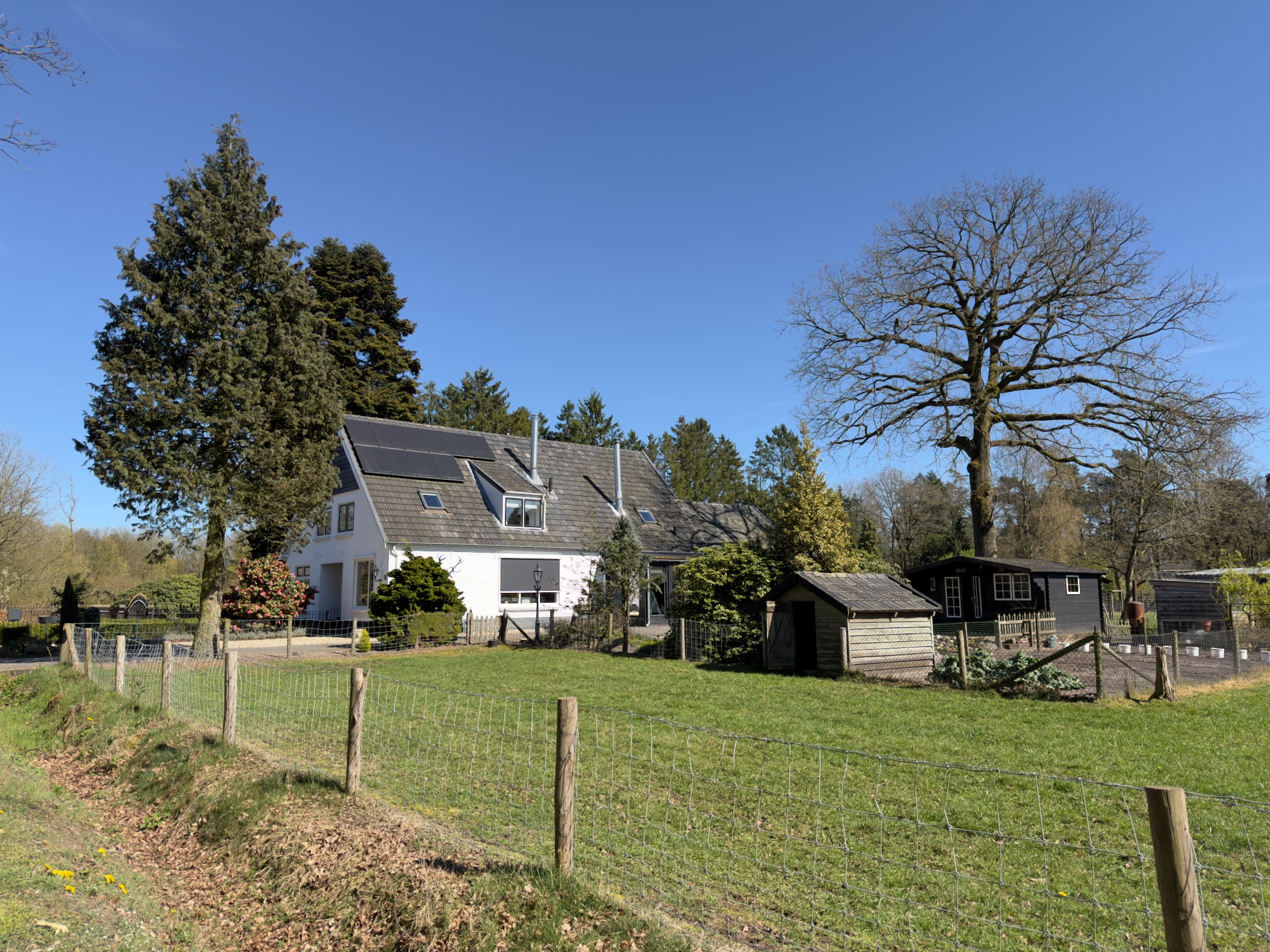 White house with garden sheds and fenced paddock beneath tall trees