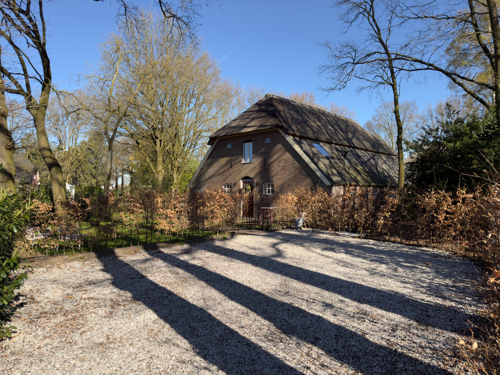 Thatched-roof cottage surrounded by bare trees on a sunny spring day