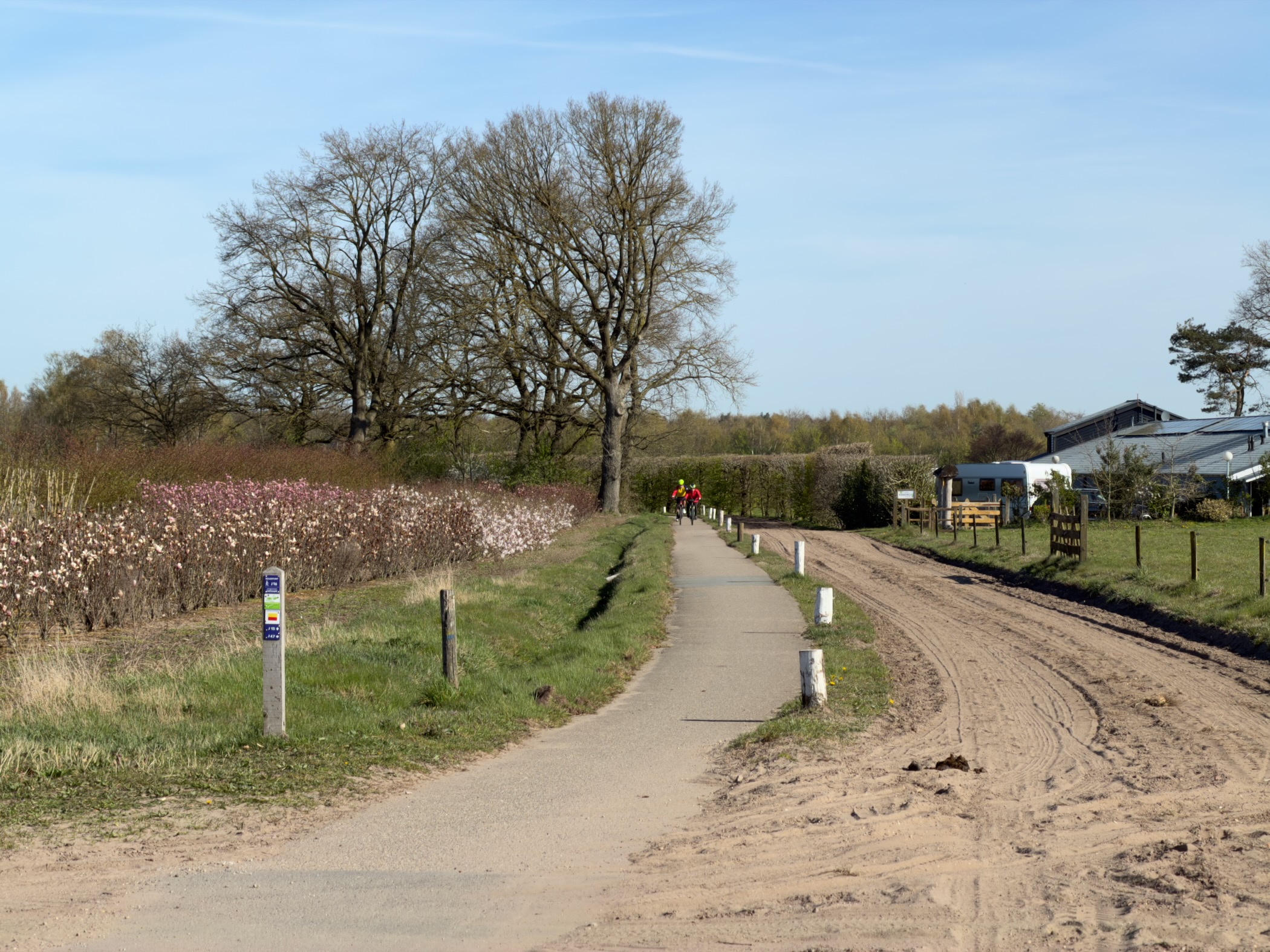 Paved path winding past blooming shrubs and a nursery in the countryside