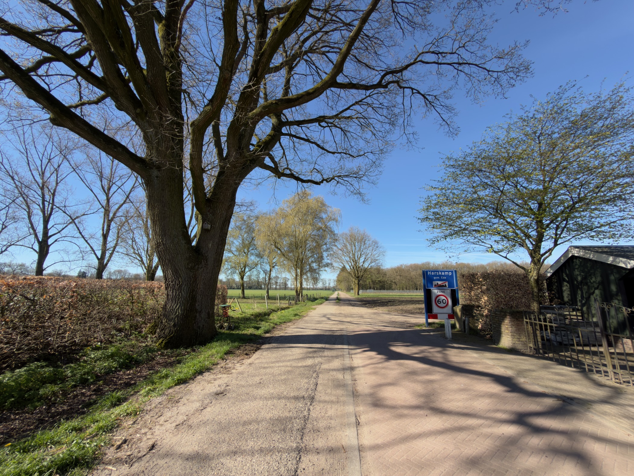 Country road leading past a village place-name sign under large oak trees