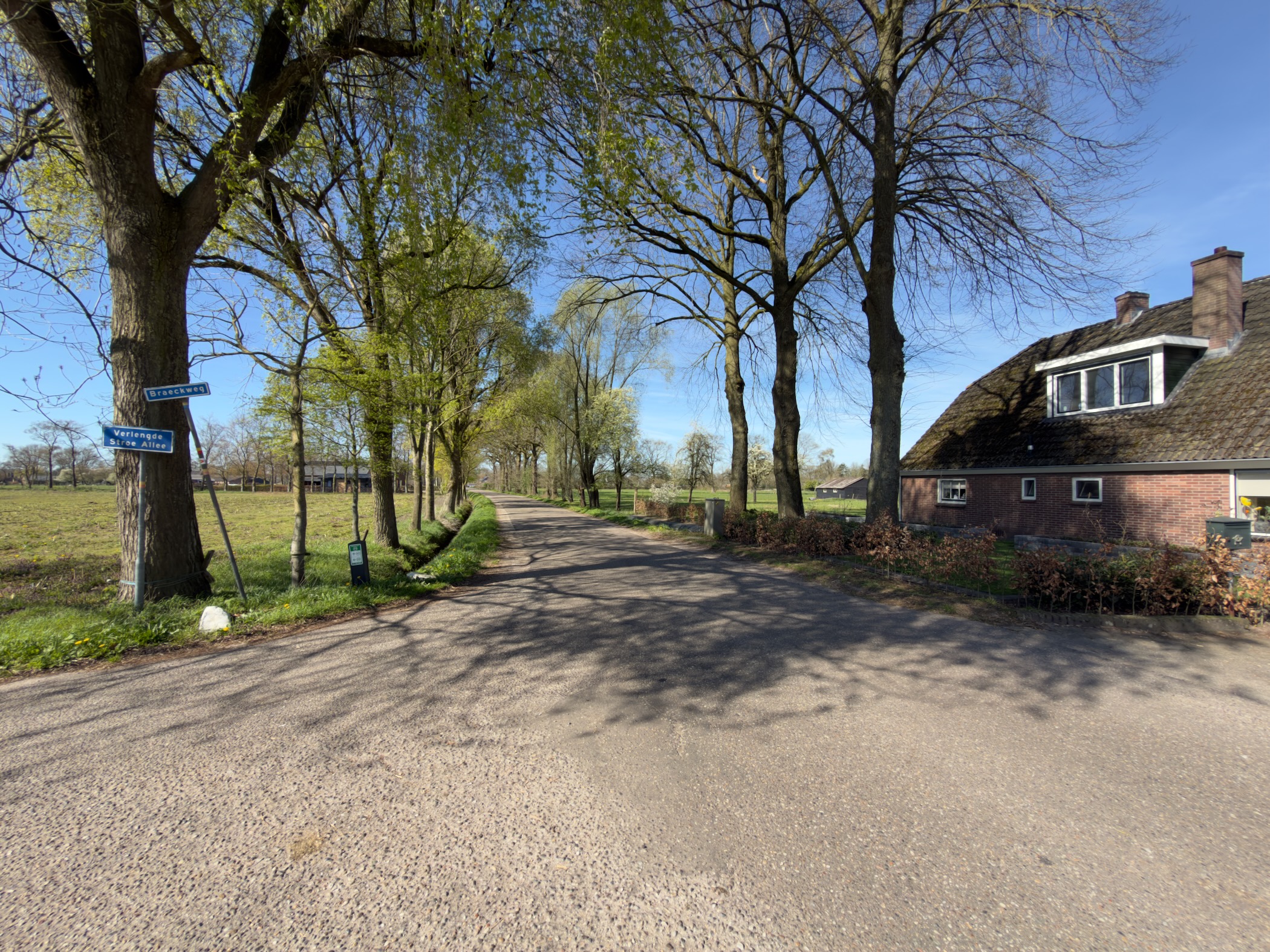 Rural intersection with a thatched-roof farmhouse and budding willows