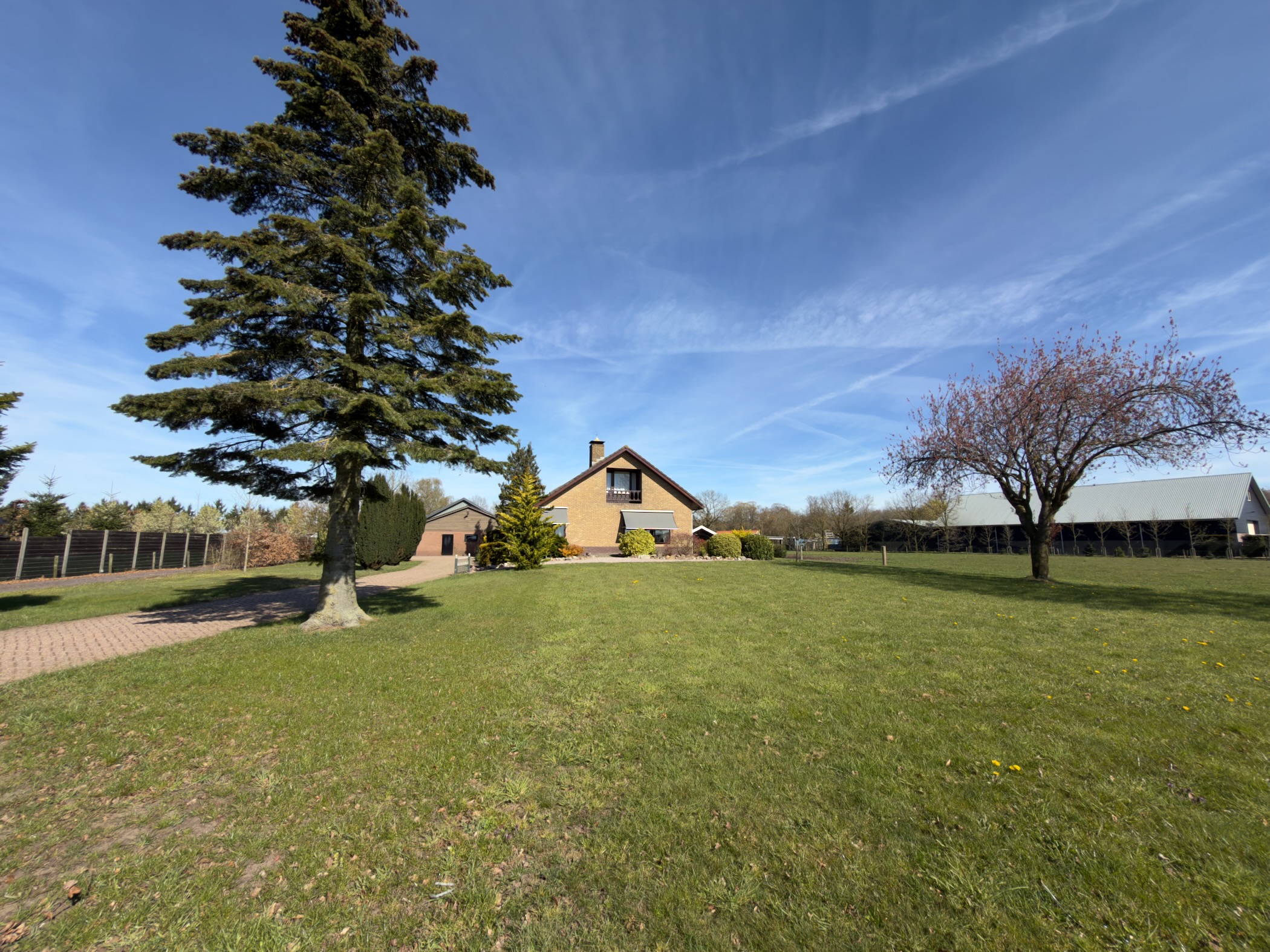 Yellow brick house with a tall spruce tree on a spacious lawn