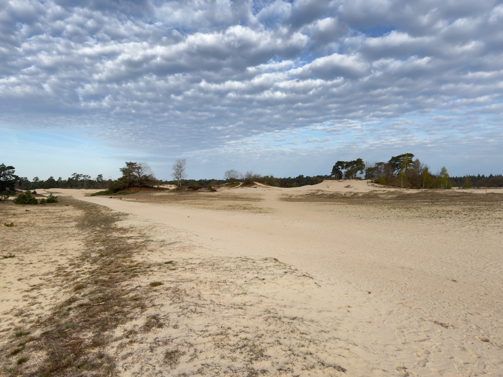 Wide open sand dunes of Kootwijkerzand under a dramatic cloudy sky