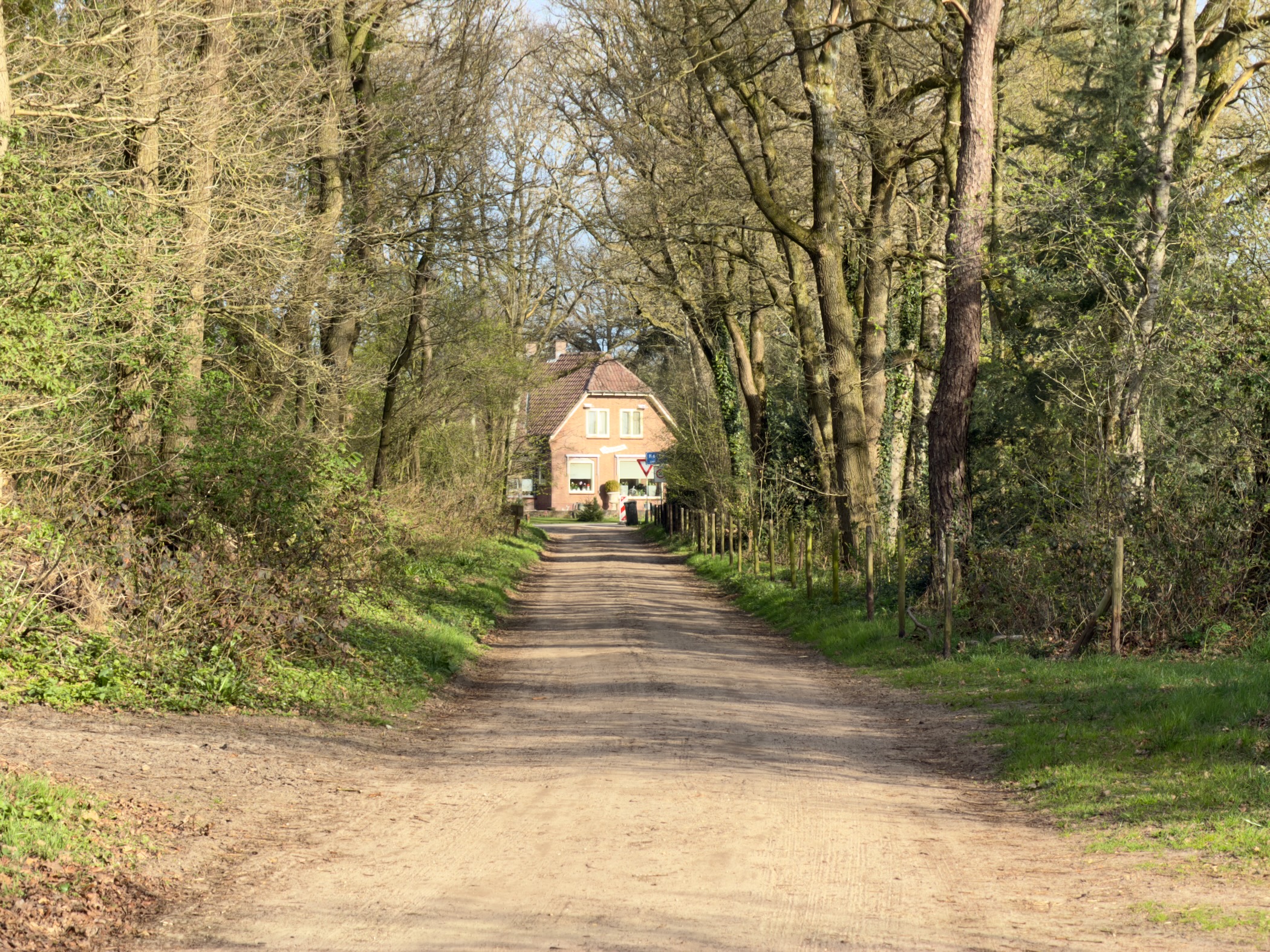 Tree-canopied path leading toward a brick cottage in the distance