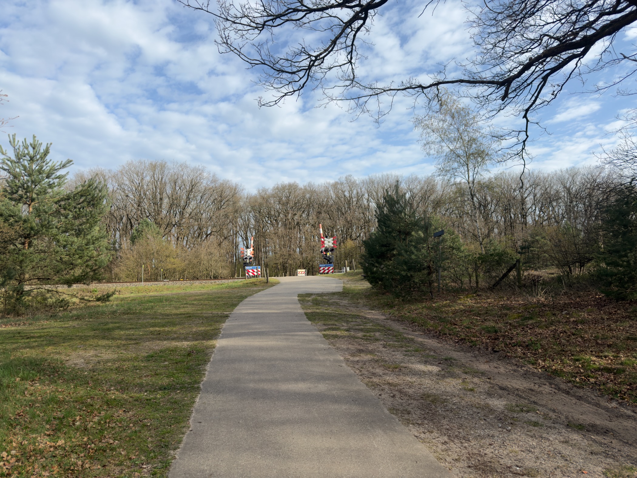 Paved path leading to a railway crossing with warning signs and bare trees