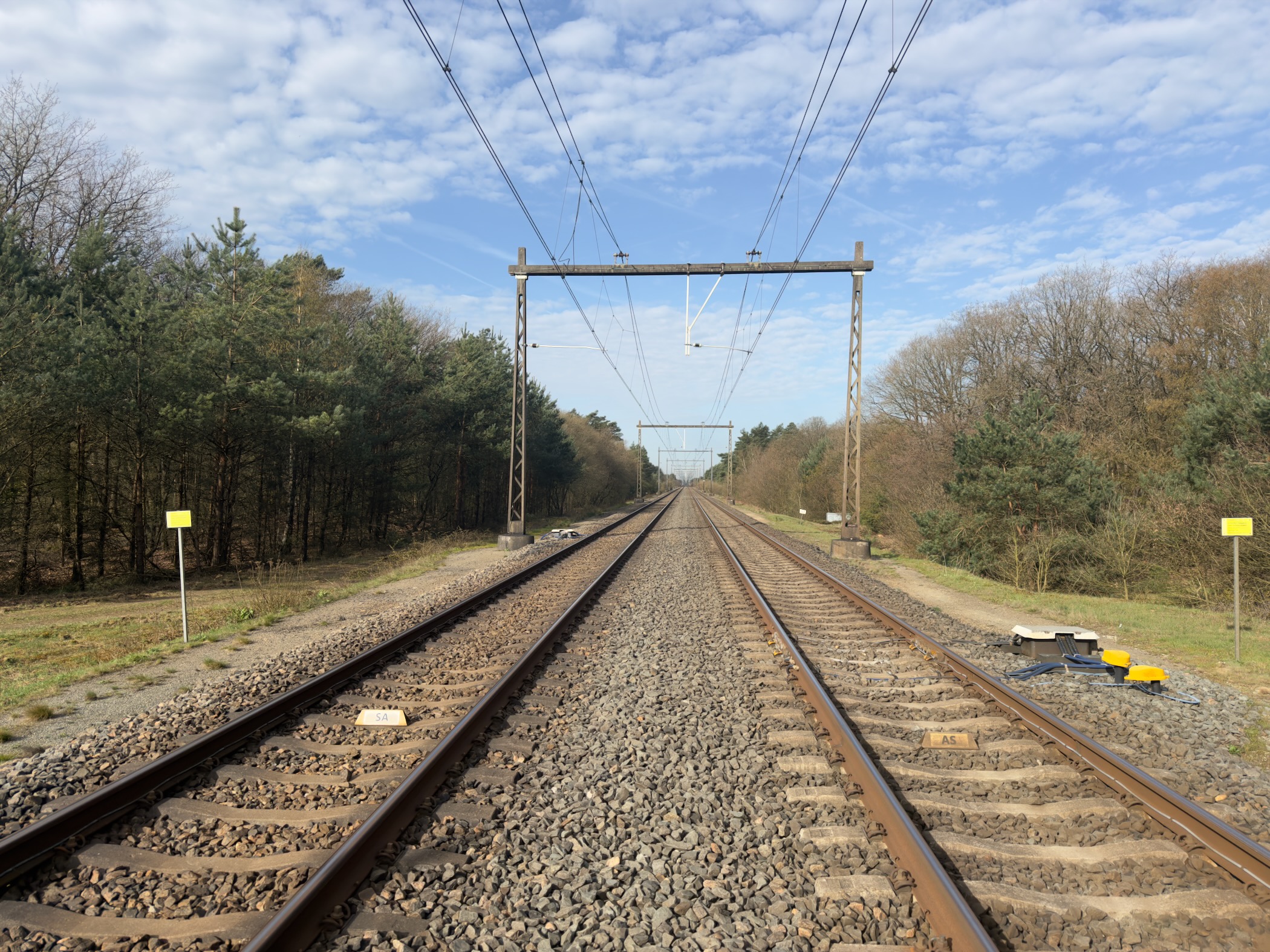 Straight railway tracks with overhead catenary wires through forested Veluwe