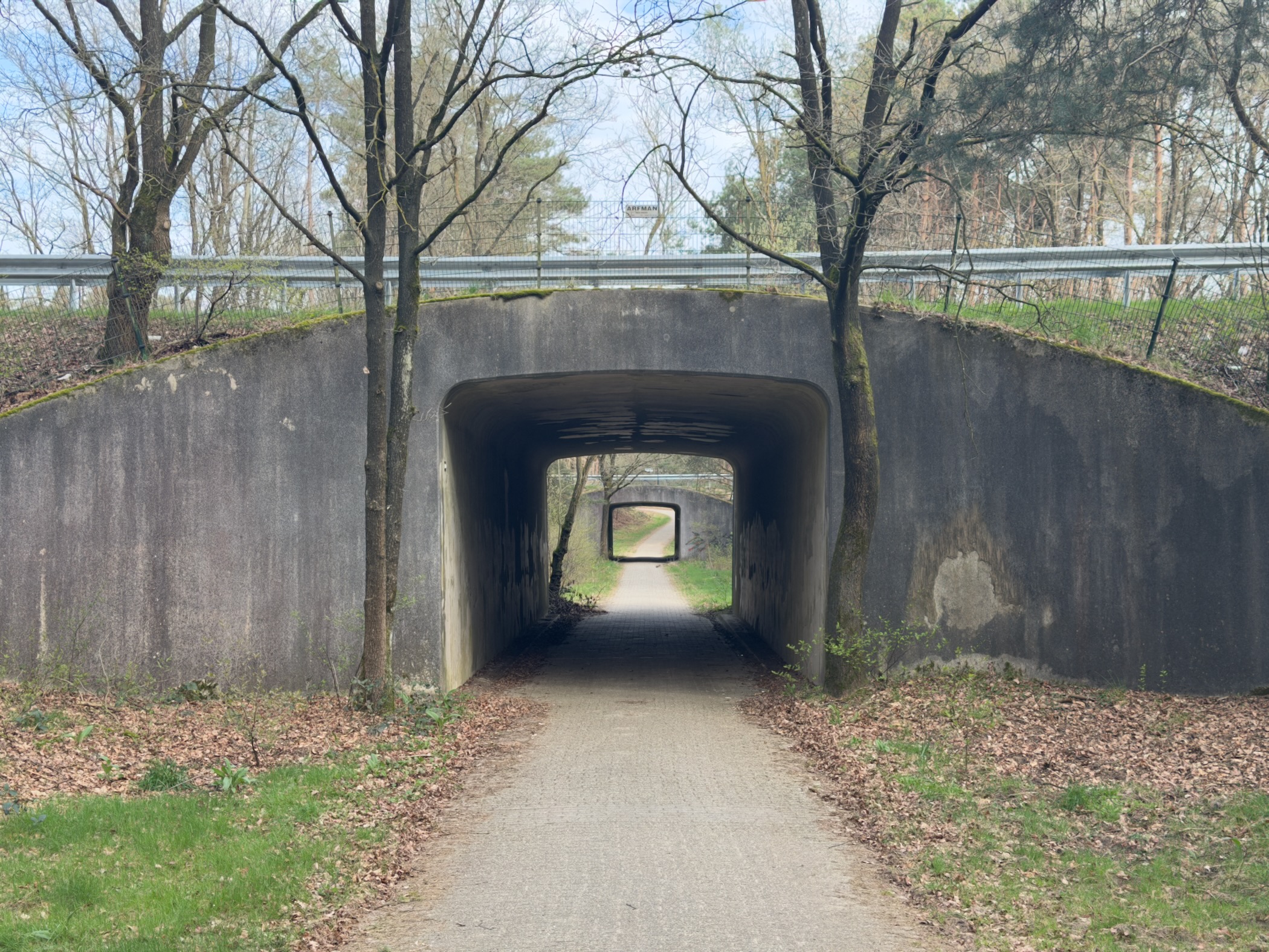Pedestrian underpass beneath a road with a path continuing into the forest