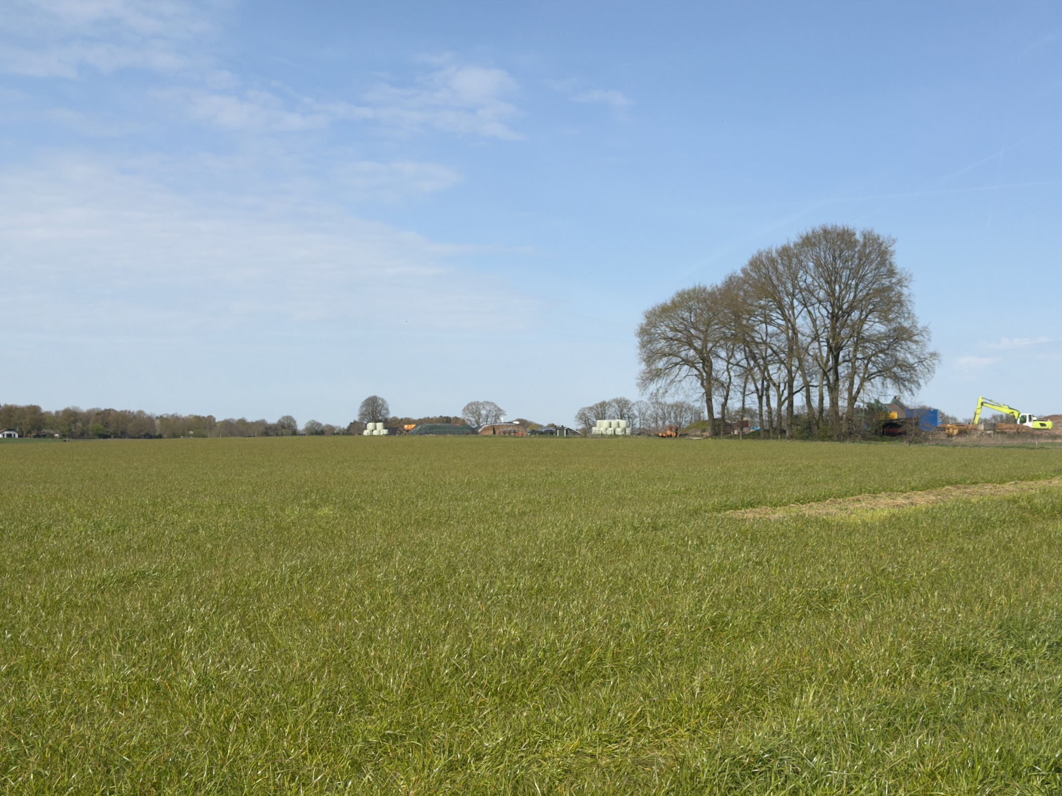 Wide green agricultural field with farmhouses and trees on the horizon