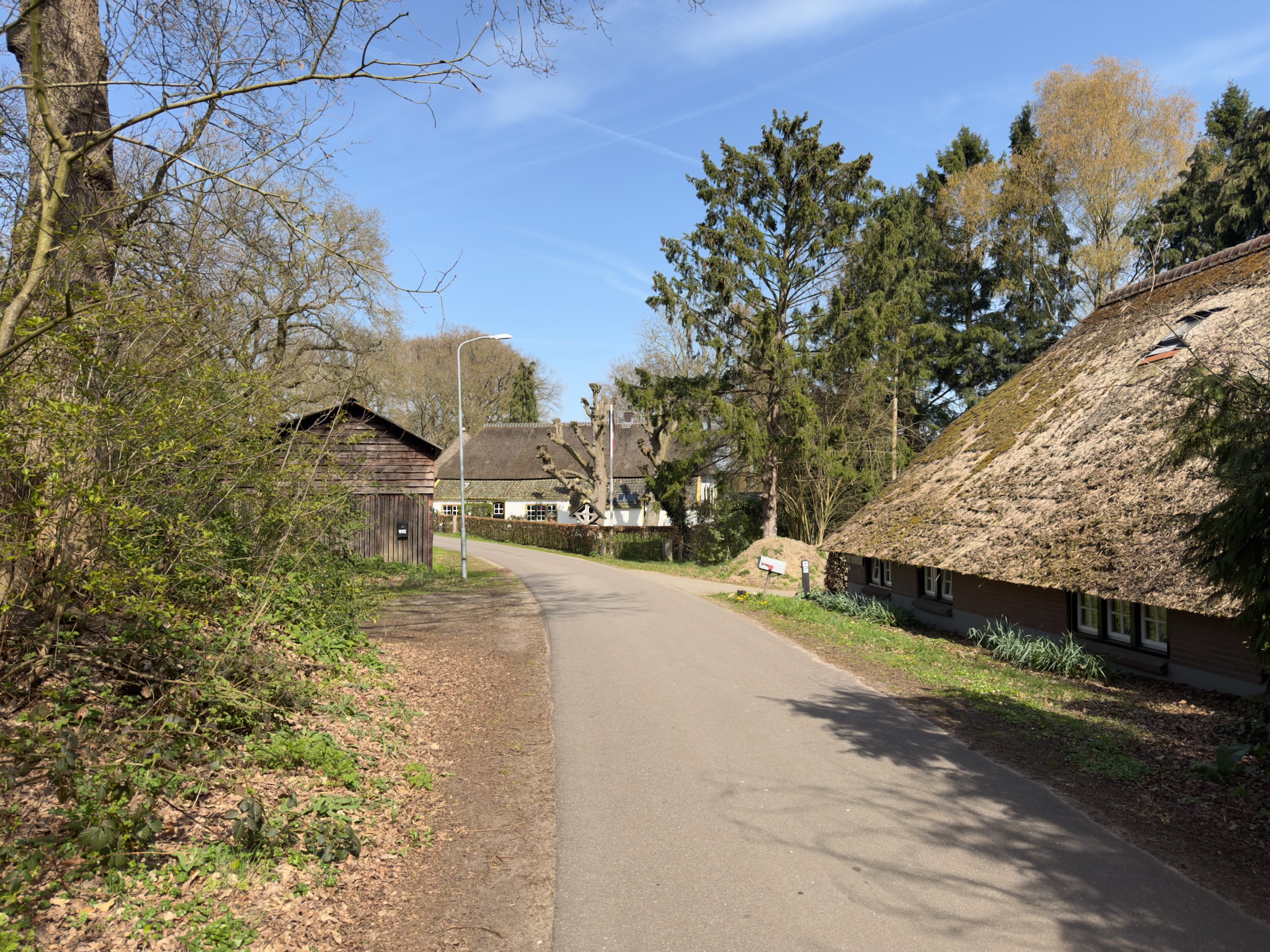 Village road with thatched-roof farmhouses and a wooden barn
