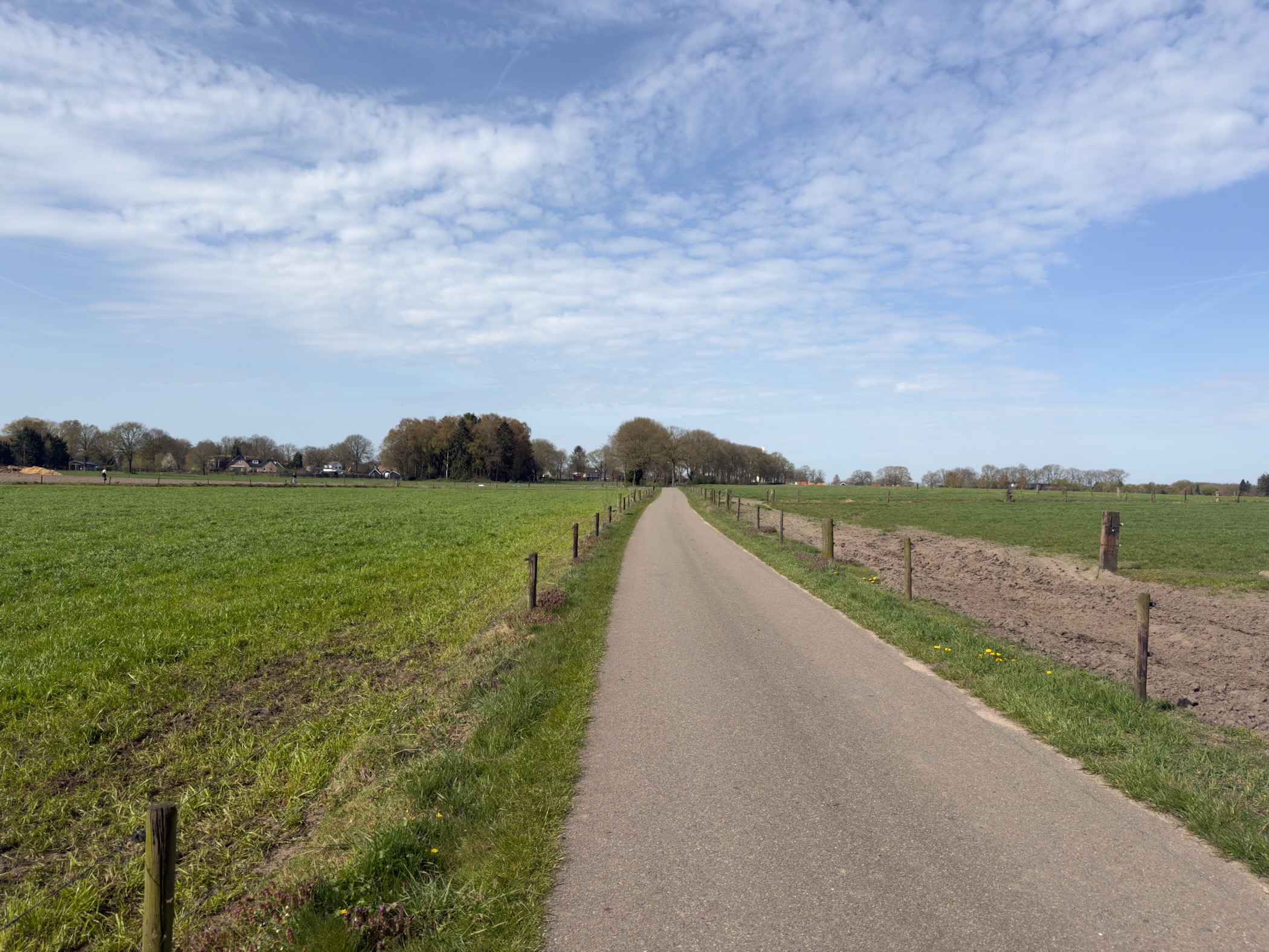 Straight narrow lane between green pastures leading to a distant tree line