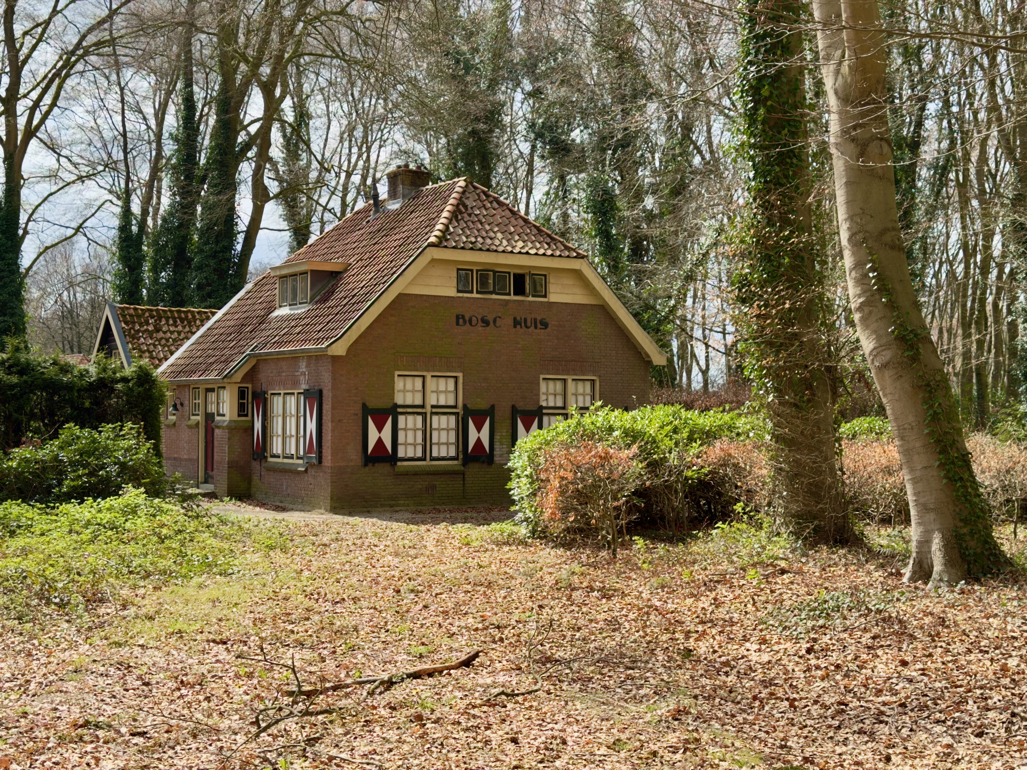 Traditional brown cottage with decorative shutters nestled among trees