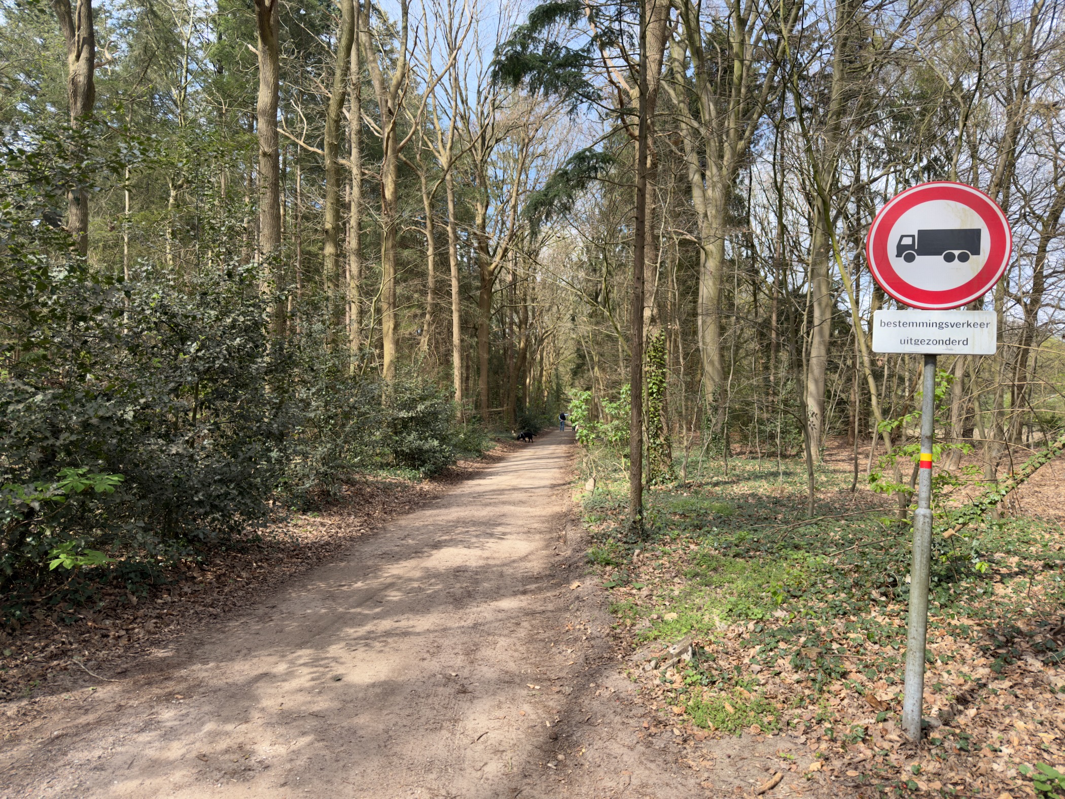 Forest path with a no-vehicles sign at the entrance to the woods