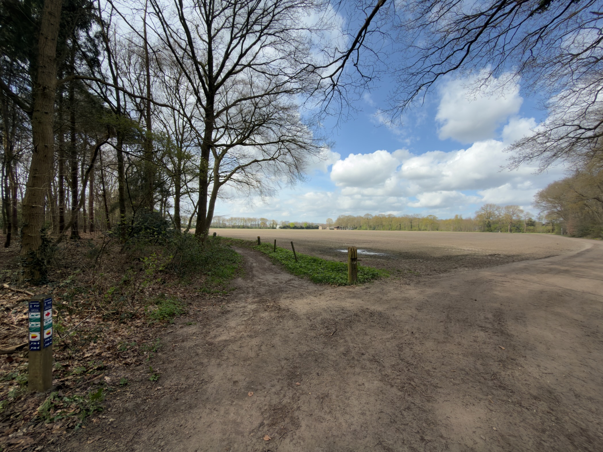 Trail marker post at the edge of a forest overlooking a ploughed field