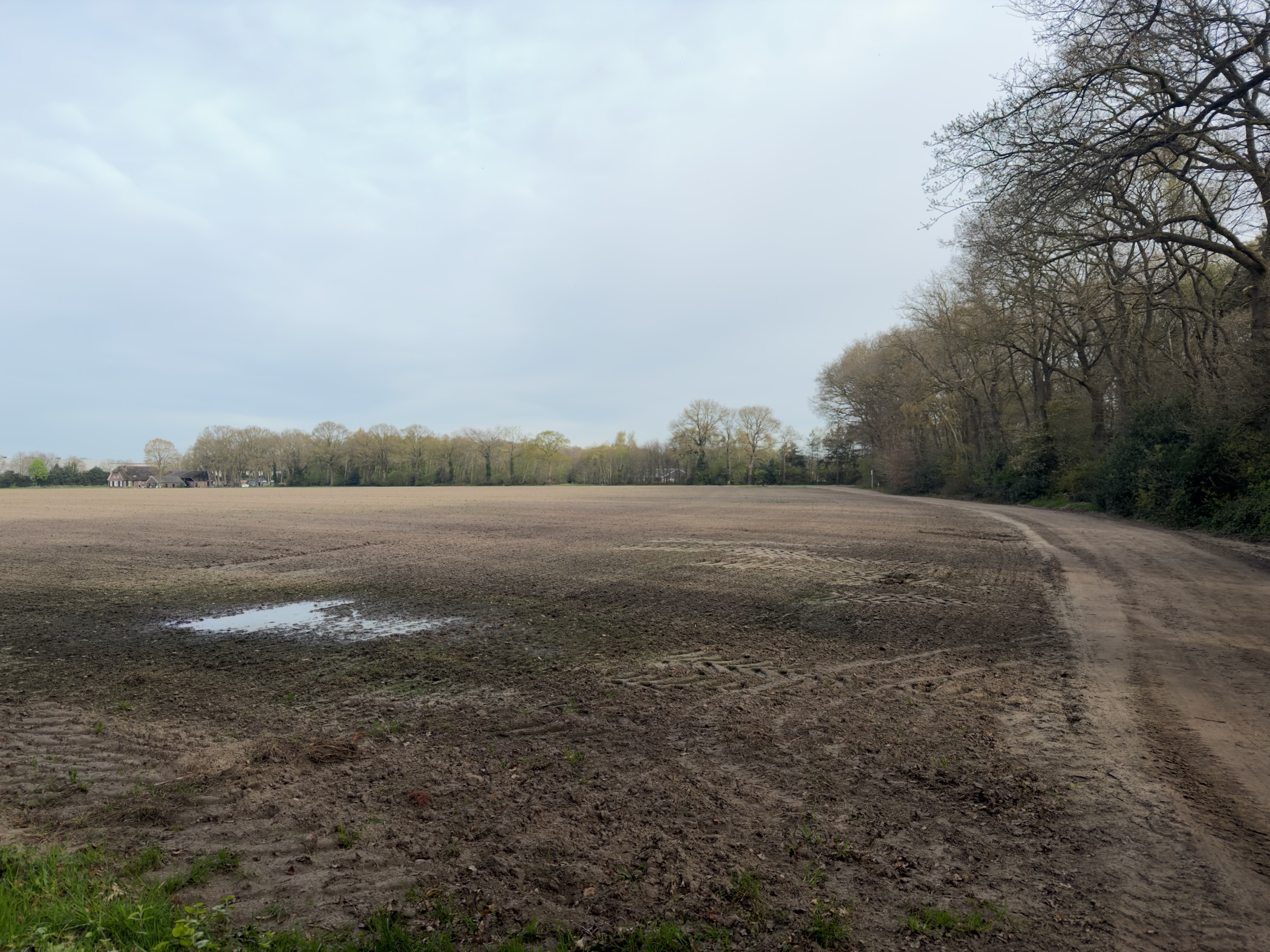 Freshly ploughed field with a puddle and bare trees on the horizon