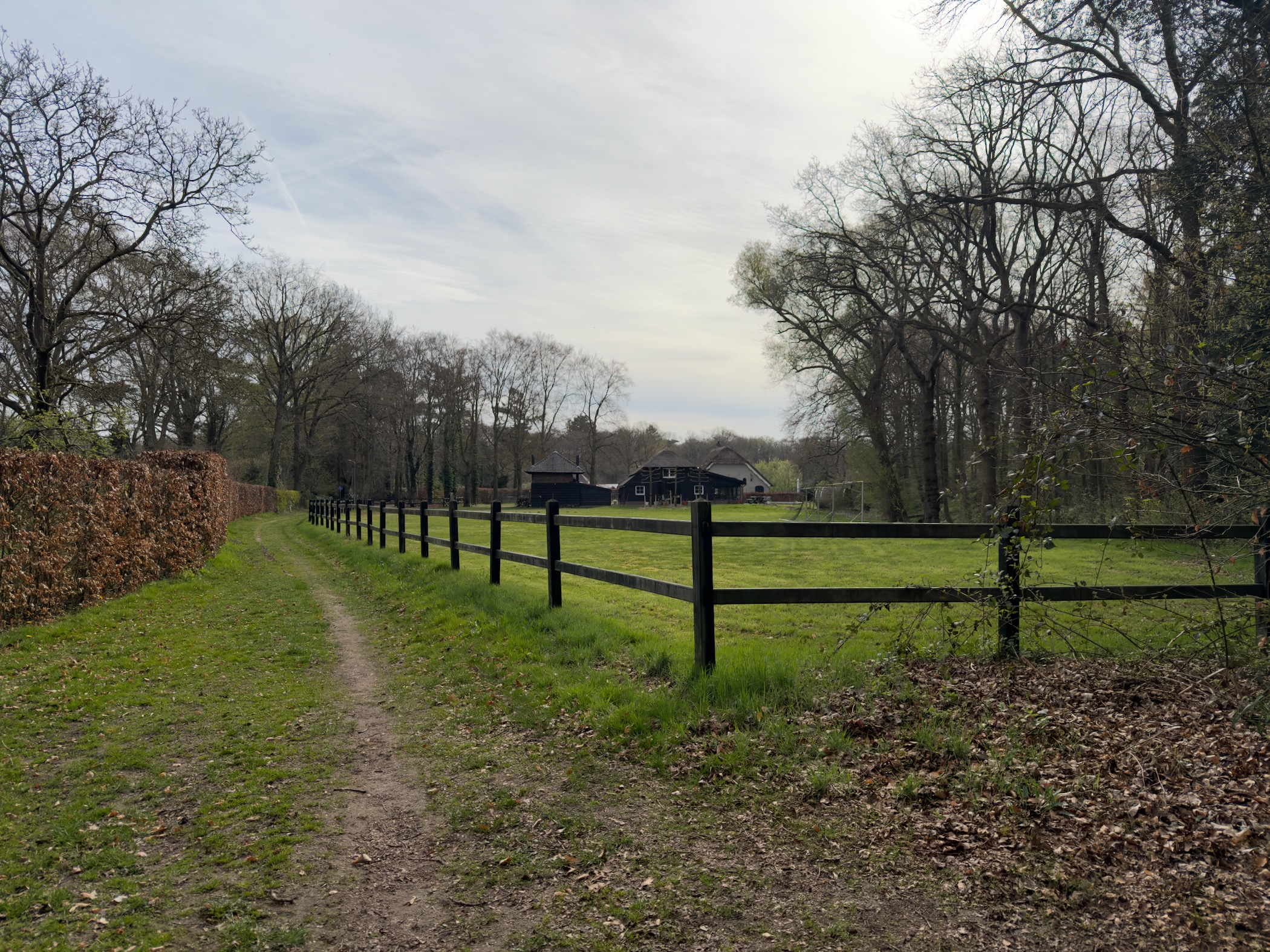 Narrow path between a beech hedge and a paddock fence leading to a farmstead