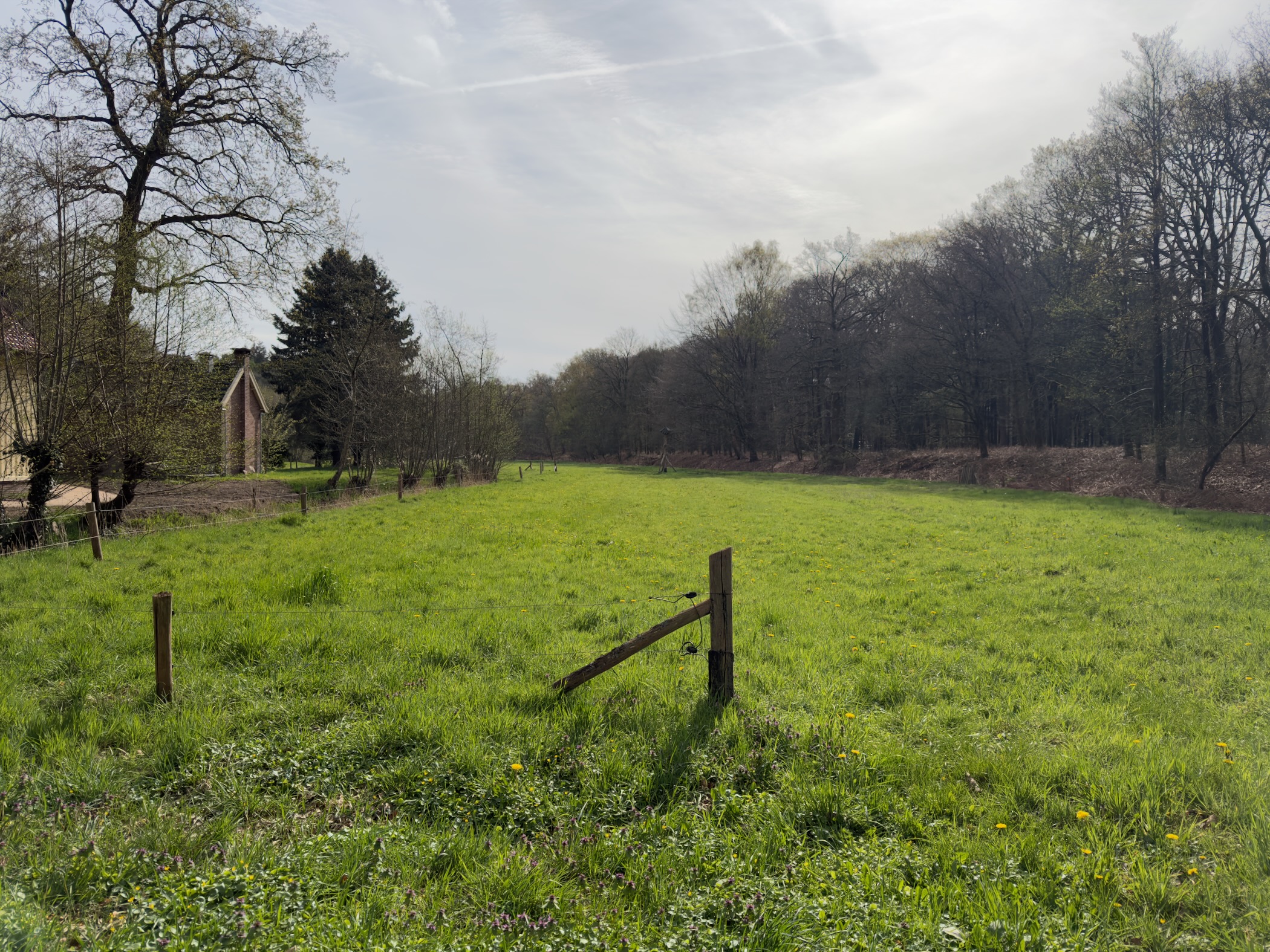 Green pasture with a wooden fence post and a small building on the edge