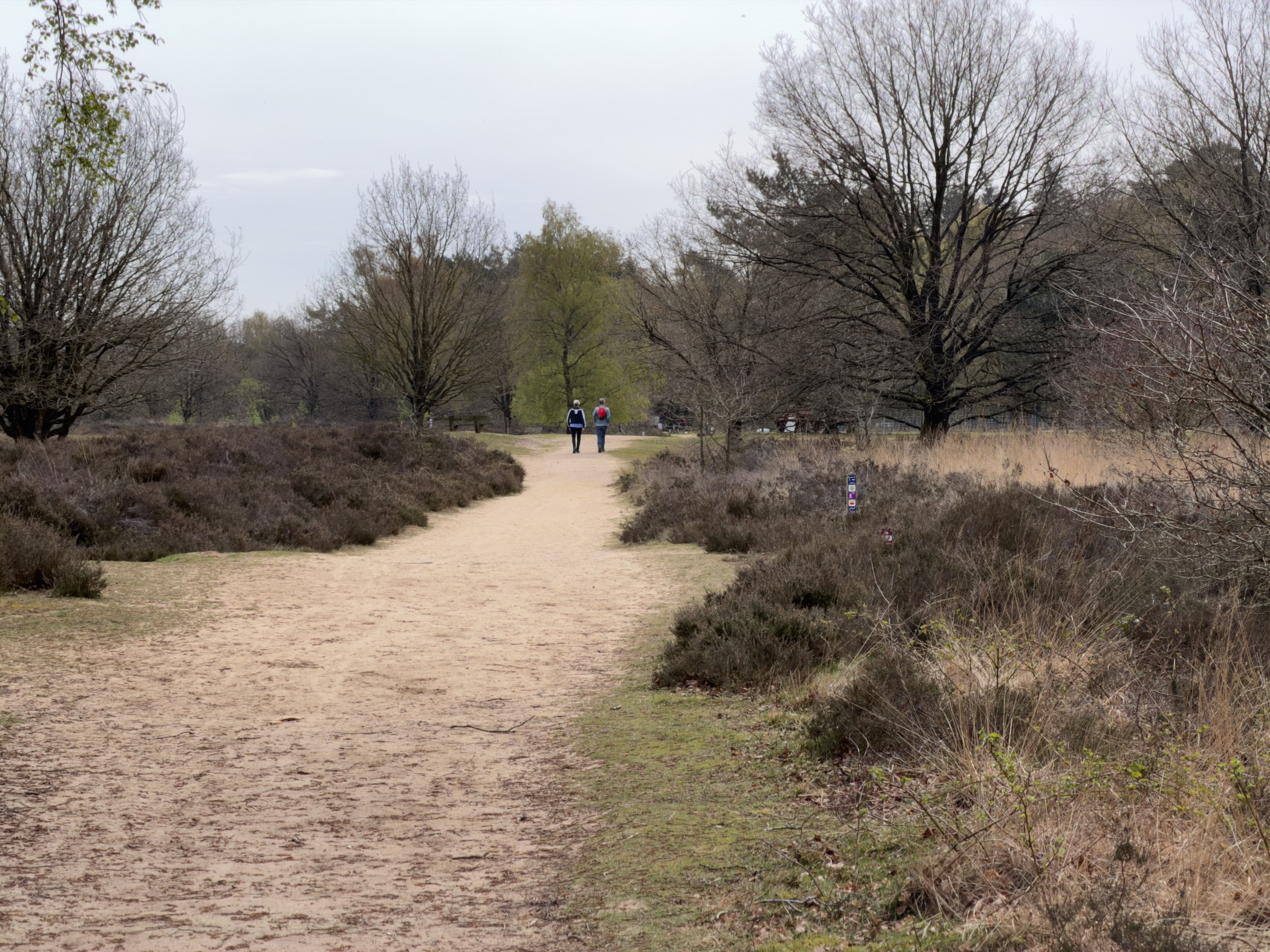 Sandy path across open heathland with two walkers in the distance