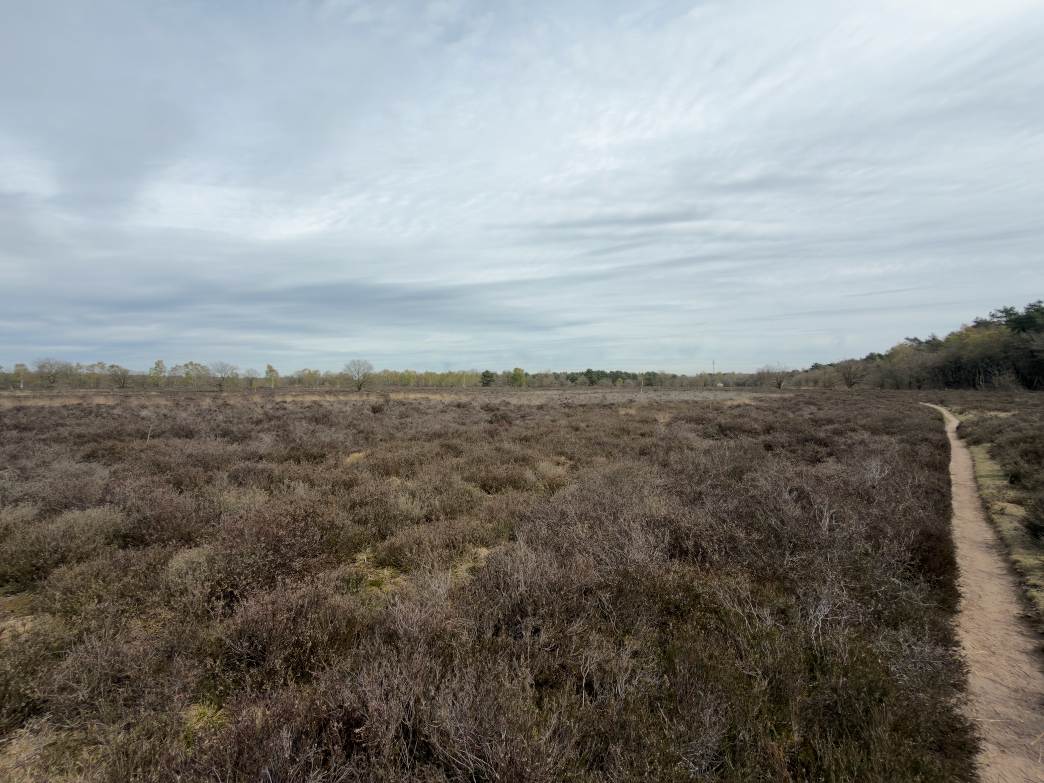 Wide heathland vista with a narrow path curving to the right under grey clouds