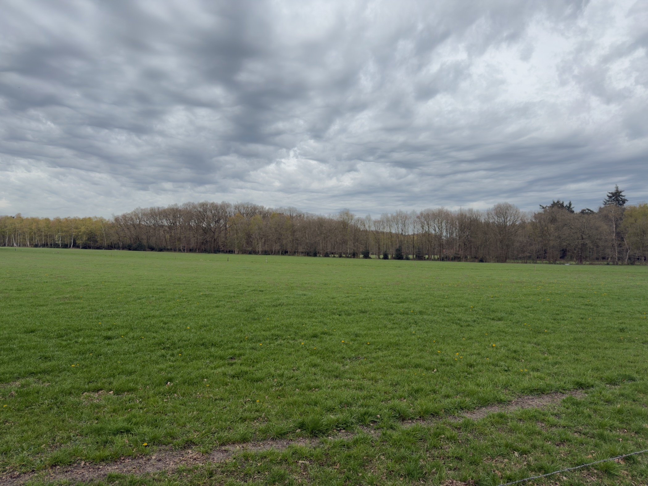 Expansive green meadow under dramatic grey clouds near Leuvenum