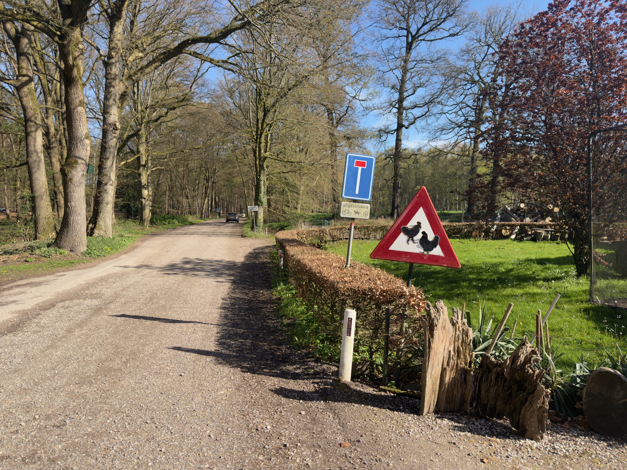 Dead-end road sign with a cattle warning sign at a country lane