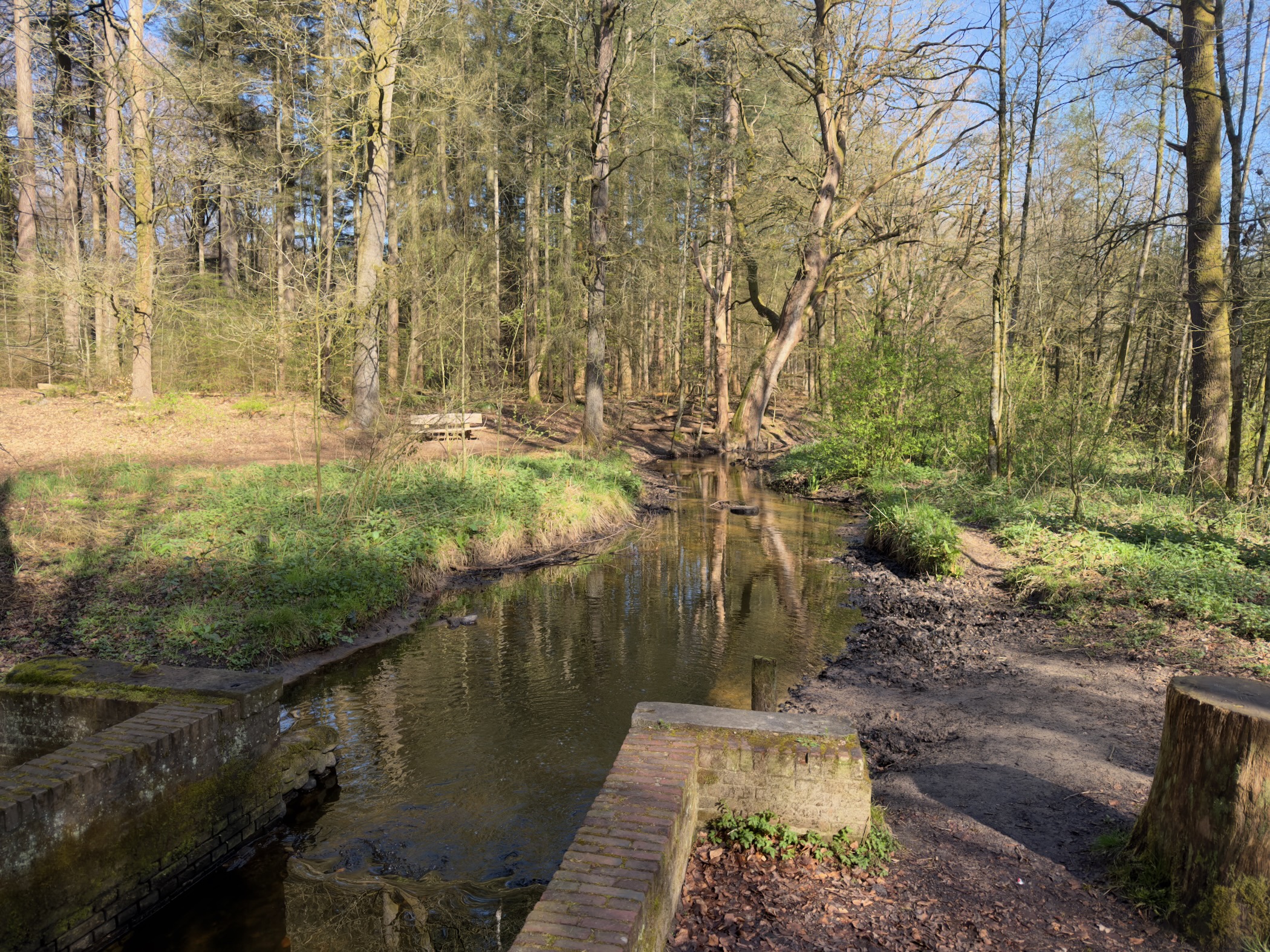 Small weir on a brook with a picnic bench in a sunlit forest clearing