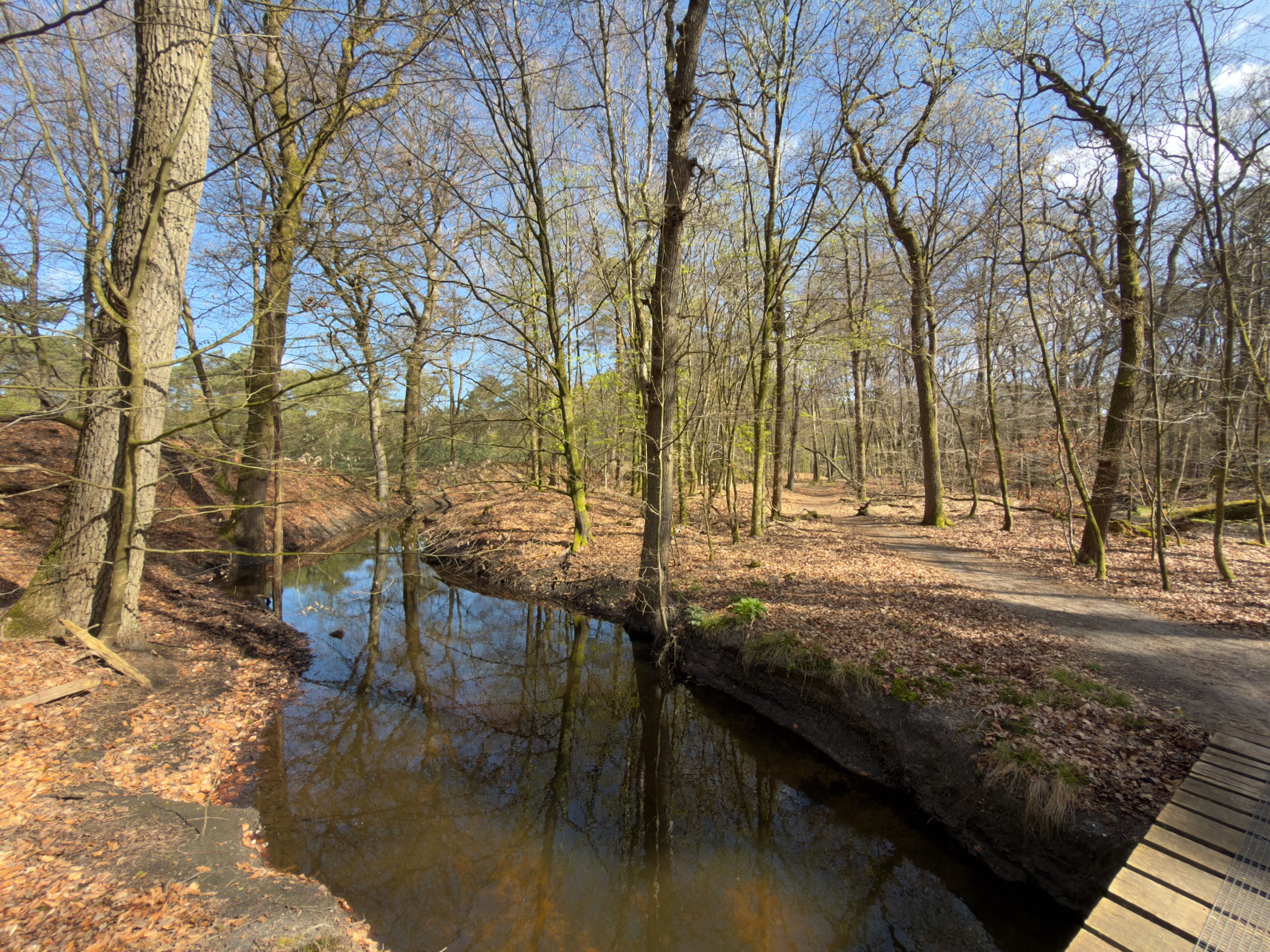 Wooden footbridge over a calm brook reflecting bare trees