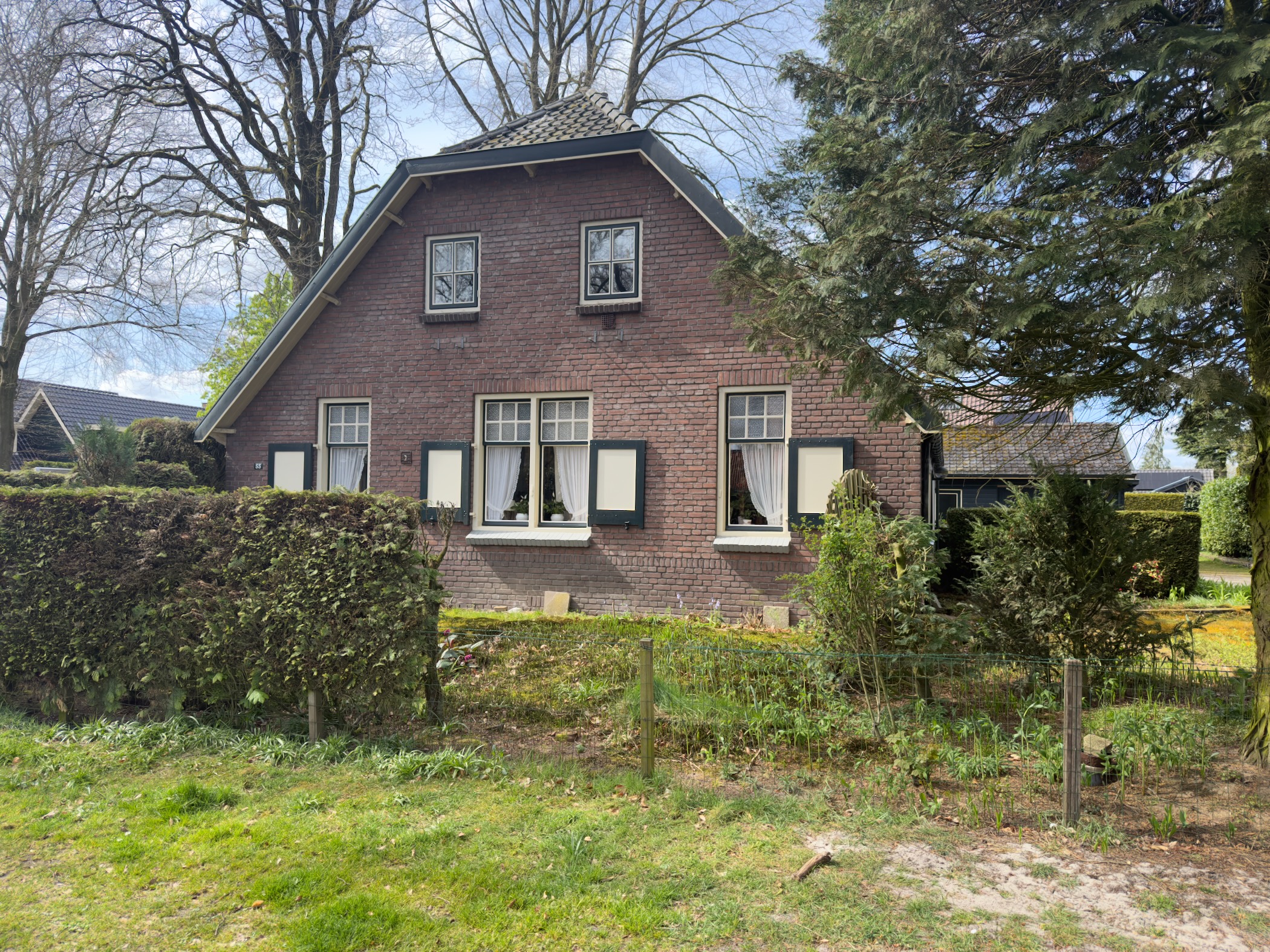 Dark brick house with white window frames behind a privet hedge in Elspeet