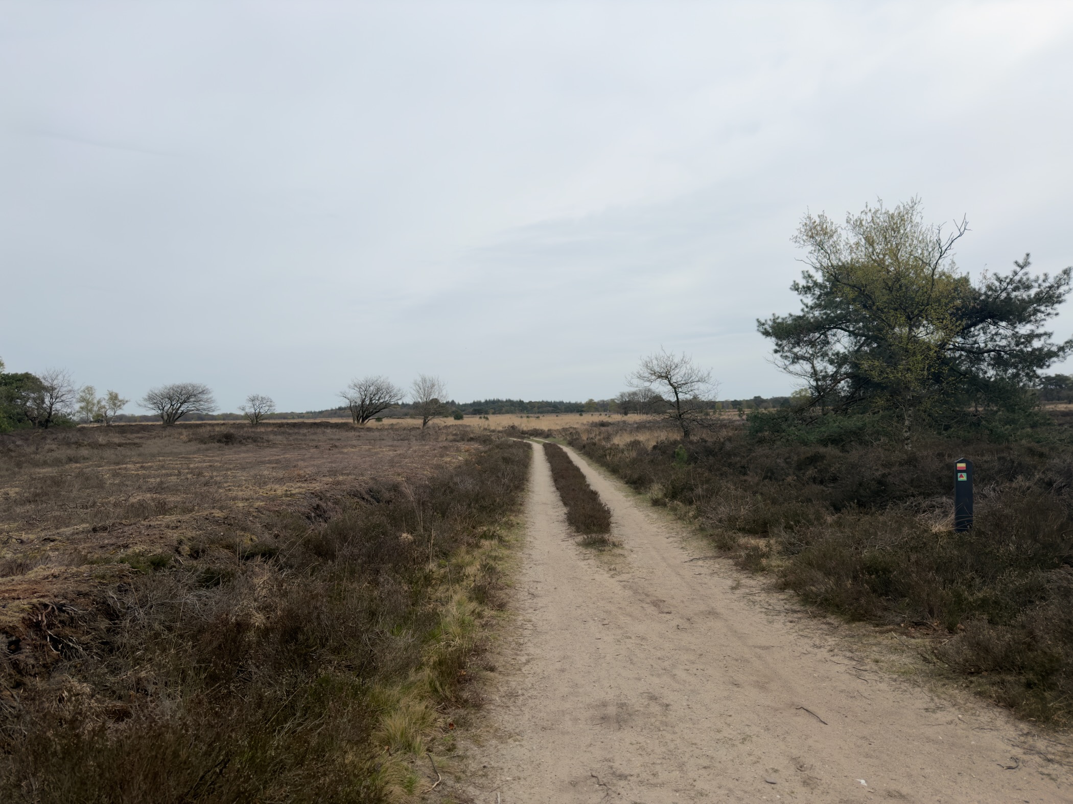 Sandy path stretching across the Elspeetsche Heide with scattered pines and a trail marker post