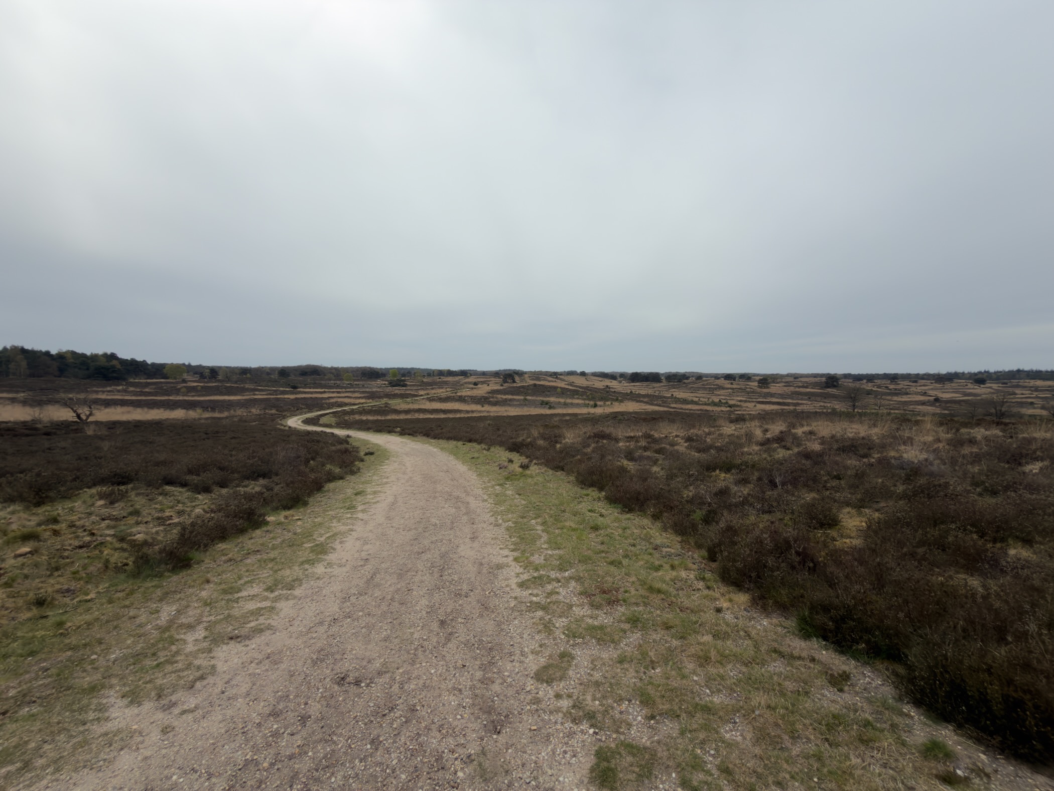 Winding sandy path descending through vast open heathland under an overcast sky