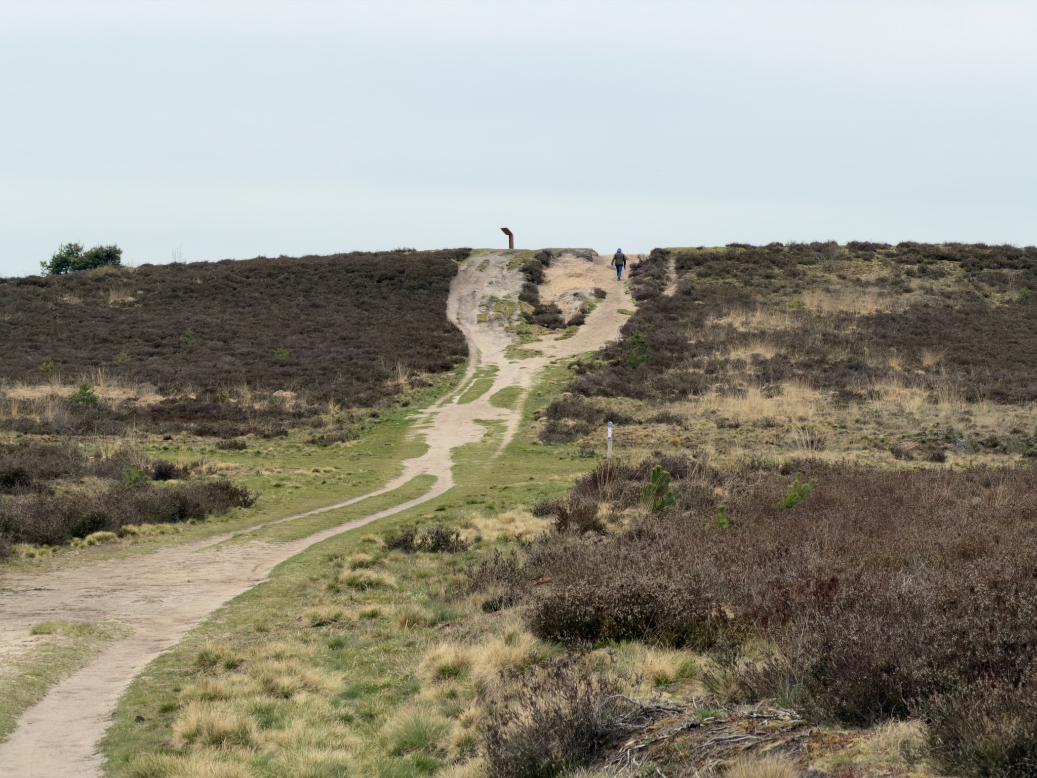 Sandy trail climbing up a heathland ridge with hikers visible on the hilltop